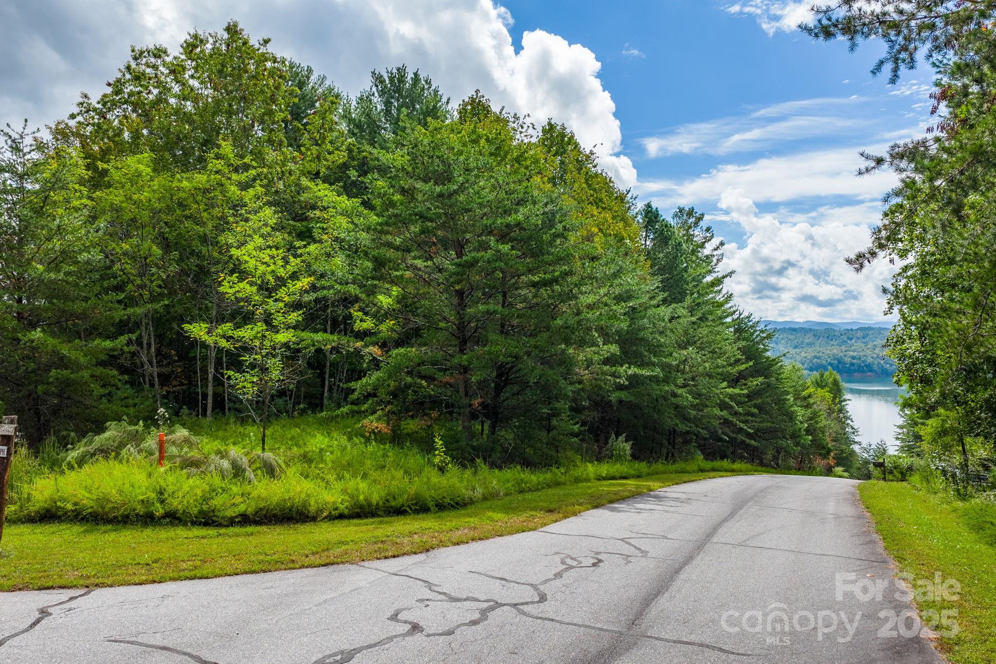 Lot at 913 Bear Cliff Drive, Nebo, photo 4 of 36