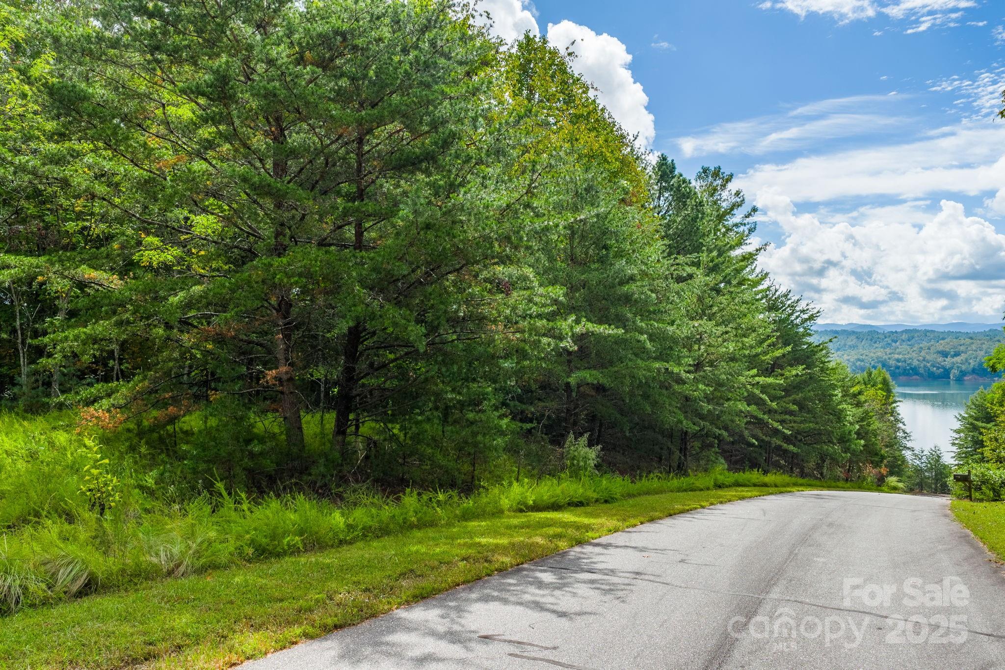 Lot at 913 Bear Cliff Drive, Nebo, photo 5 of 36