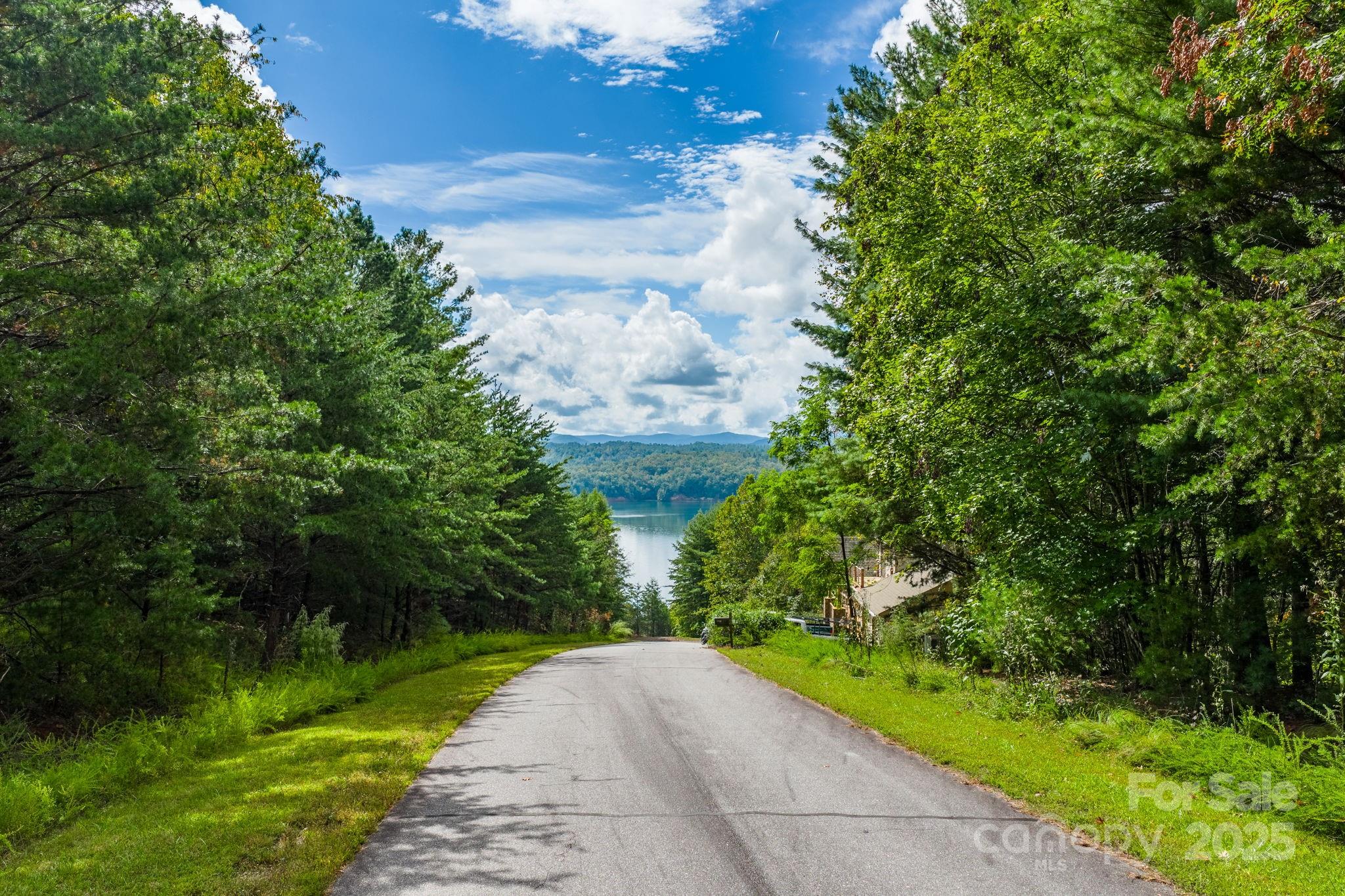 Lot at 913 Bear Cliff Drive, Nebo, photo 6 of 36