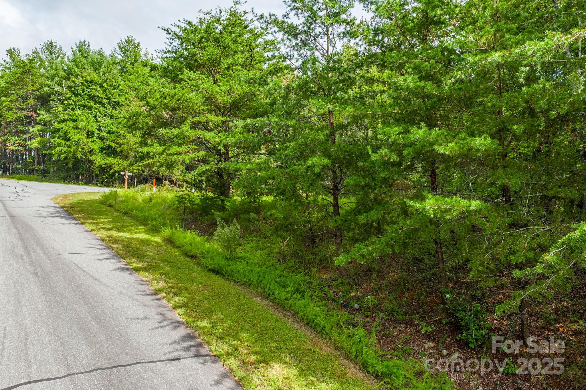 Lot at 913 Bear Cliff Drive, Nebo, photo 8 of 36