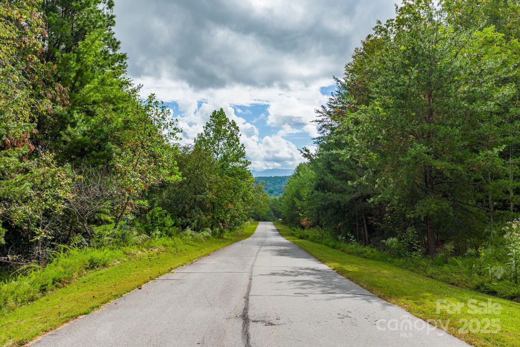 Lot at 913 Bear Cliff Drive, Nebo, photo 9 of 36