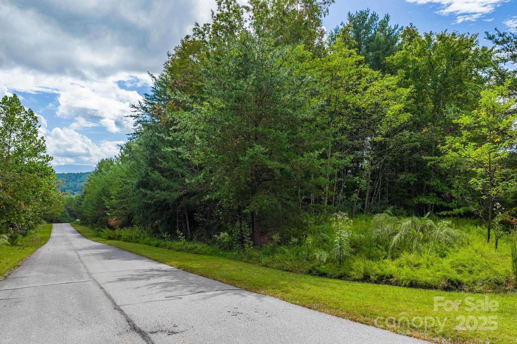Lot at 913 Bear Cliff Drive, Nebo, photo 10 of 36