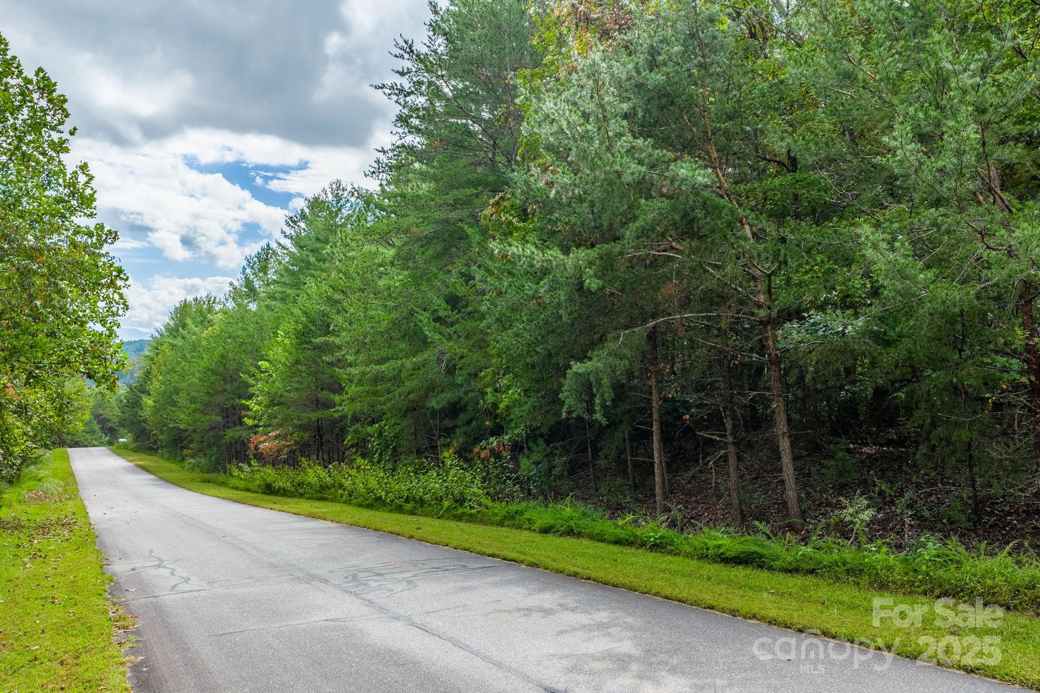 Lot at 913 Bear Cliff Drive, Nebo, photo 11 of 36