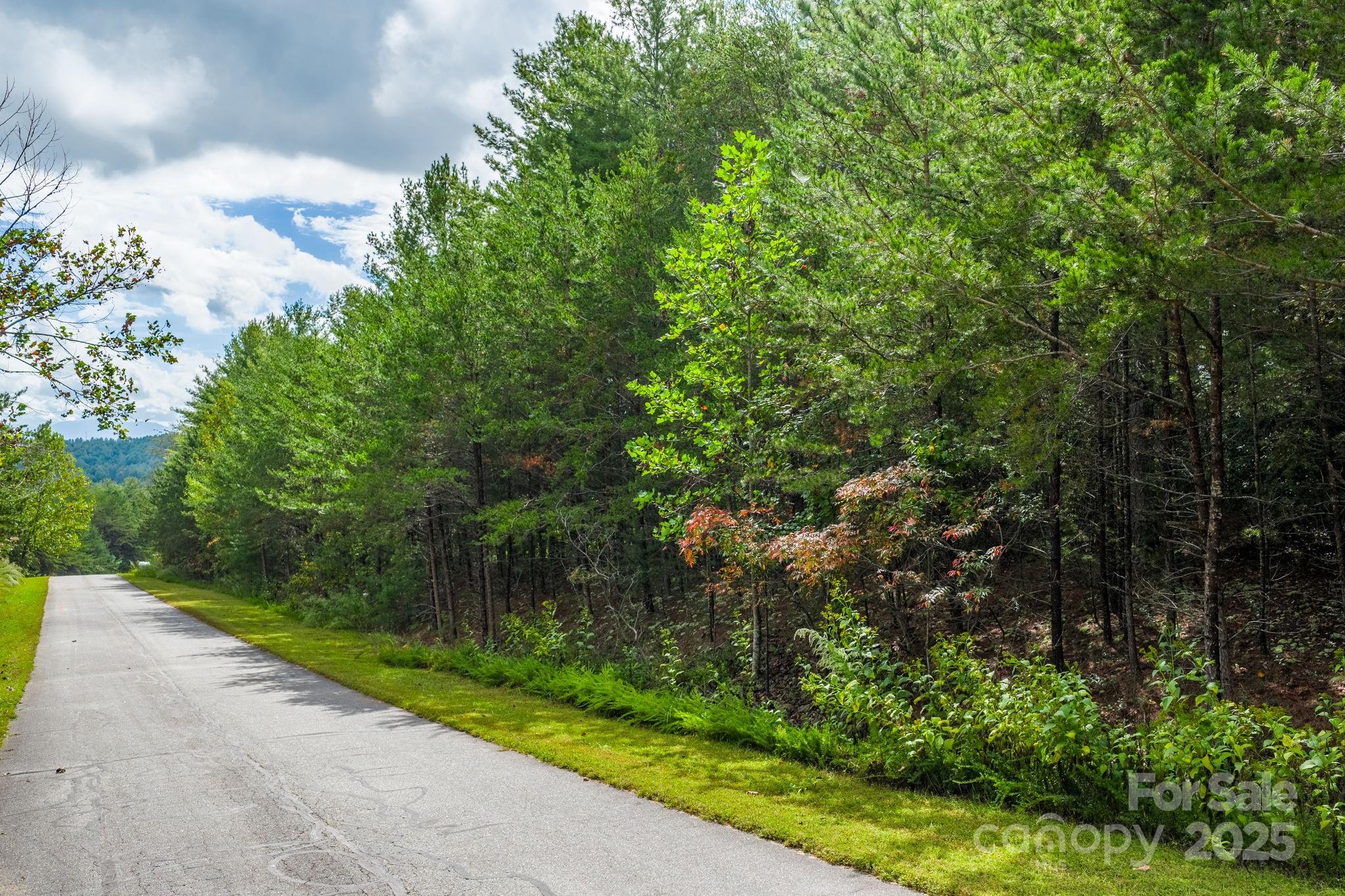 Lot at 913 Bear Cliff Drive, Nebo, photo 12 of 36