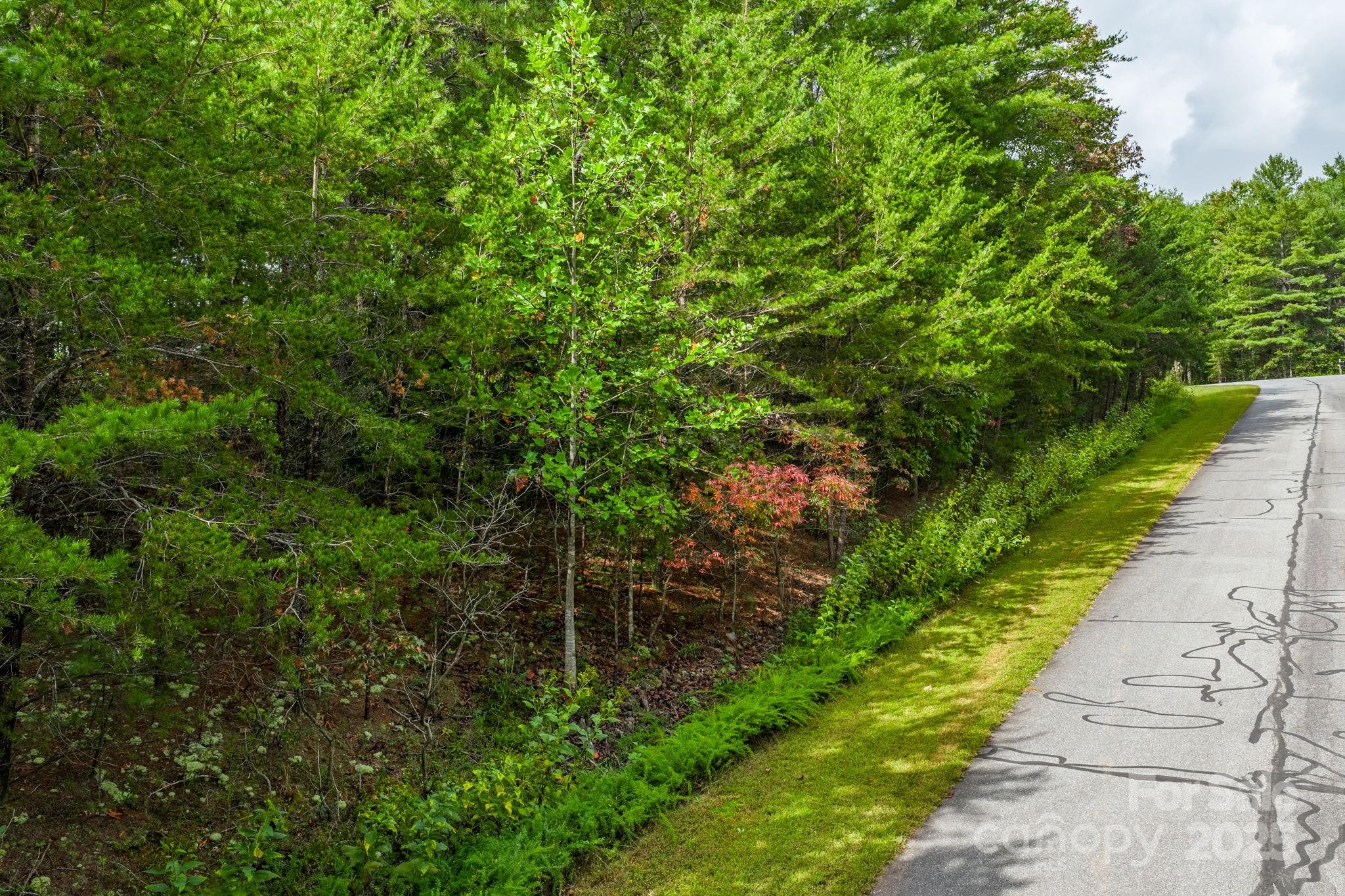 Lot at 913 Bear Cliff Drive, Nebo, photo 13 of 36