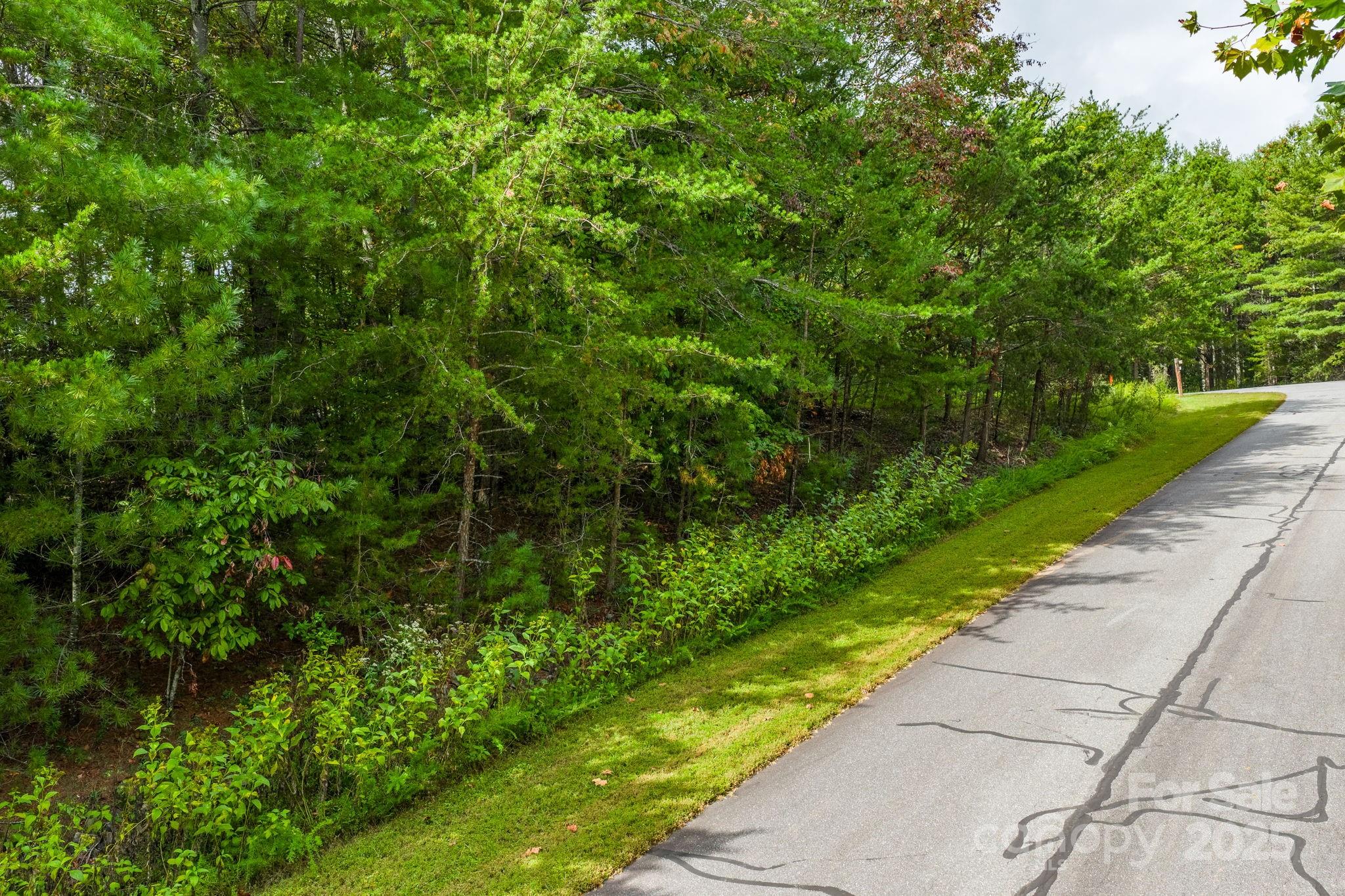 Lot at 913 Bear Cliff Drive, Nebo, photo 14 of 36