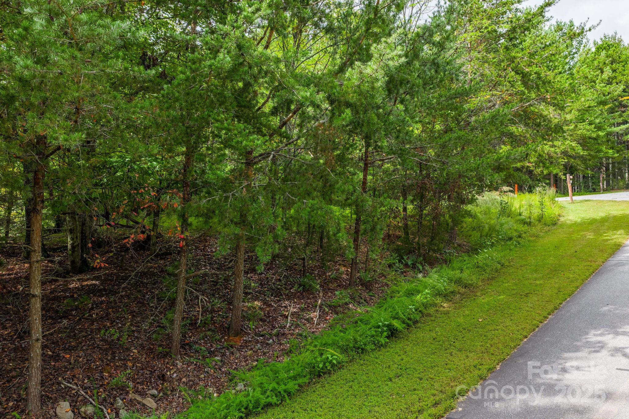 Lot at 913 Bear Cliff Drive, Nebo, photo 15 of 36