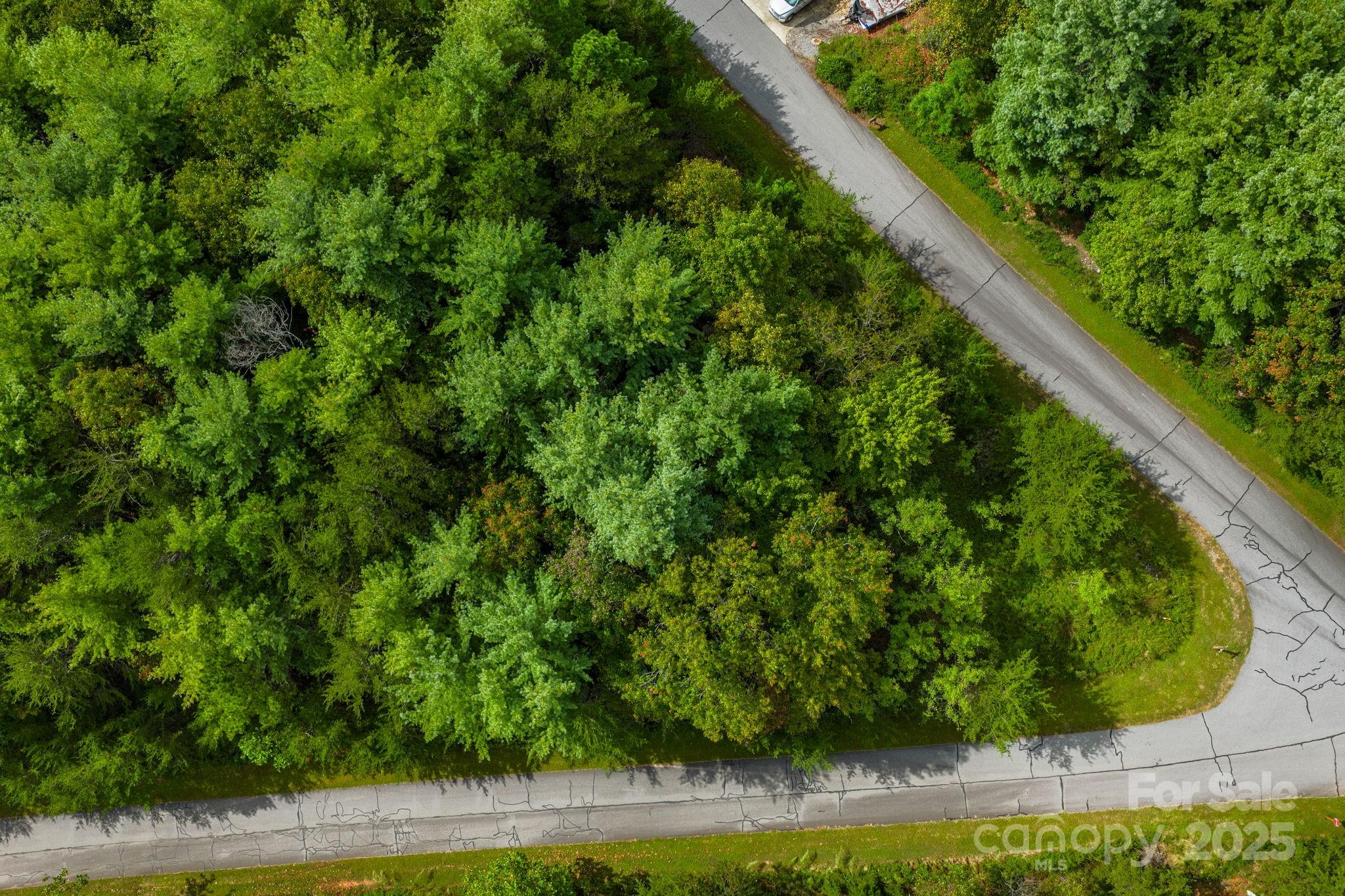 Lot at 913 Bear Cliff Drive, Nebo, photo 16 of 36