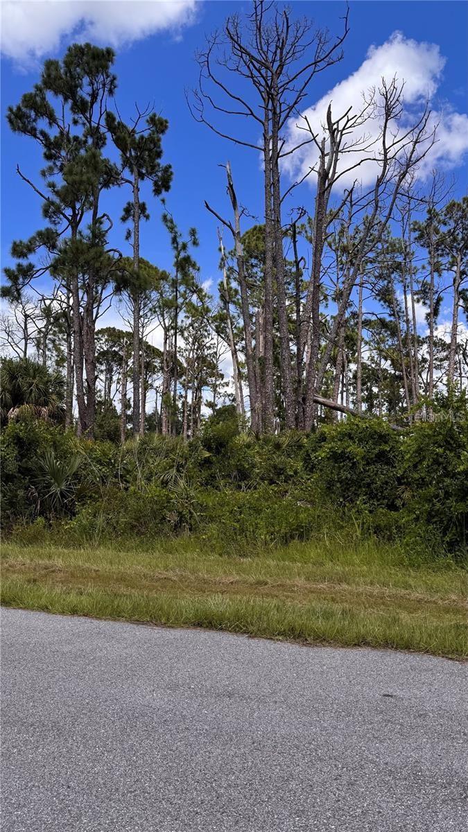 Land at 72 POMPANO ST, PORT CHARLOTTE, photo 6 of 12