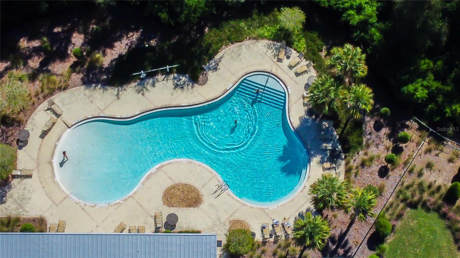 community pool - 6362 SPIDER LILY WAY, NEW PORT RICHEY
