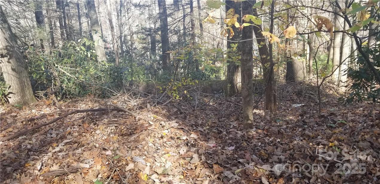 Lot at Lot C31 Shady Lane, Maggie Valley, photo 6 of 23