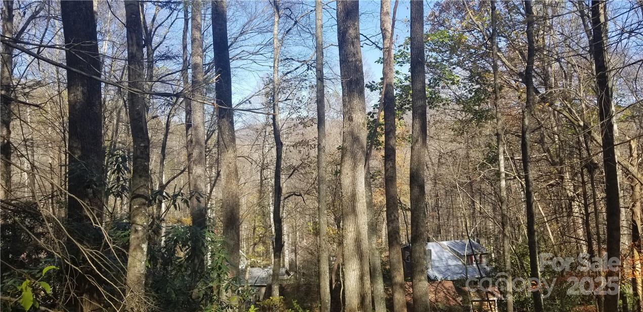 Lot at Lot C31 Shady Lane, Maggie Valley, photo 7 of 23