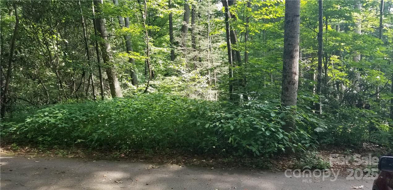 Lot at Lot C31 Shady Lane, Maggie Valley, photo 8 of 23