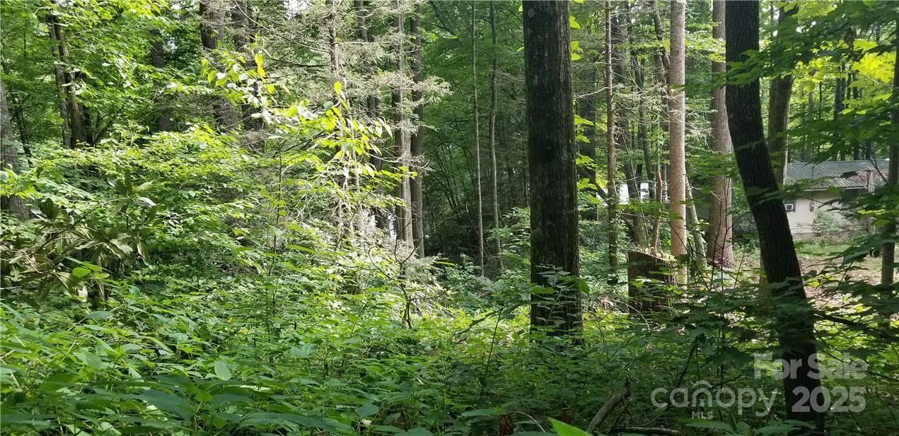 Lot at Lot C31 Shady Lane, Maggie Valley, photo 9 of 23