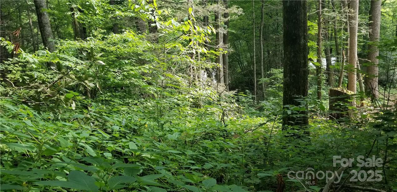 Lot at Lot C31 Shady Lane, Maggie Valley, photo 10 of 23