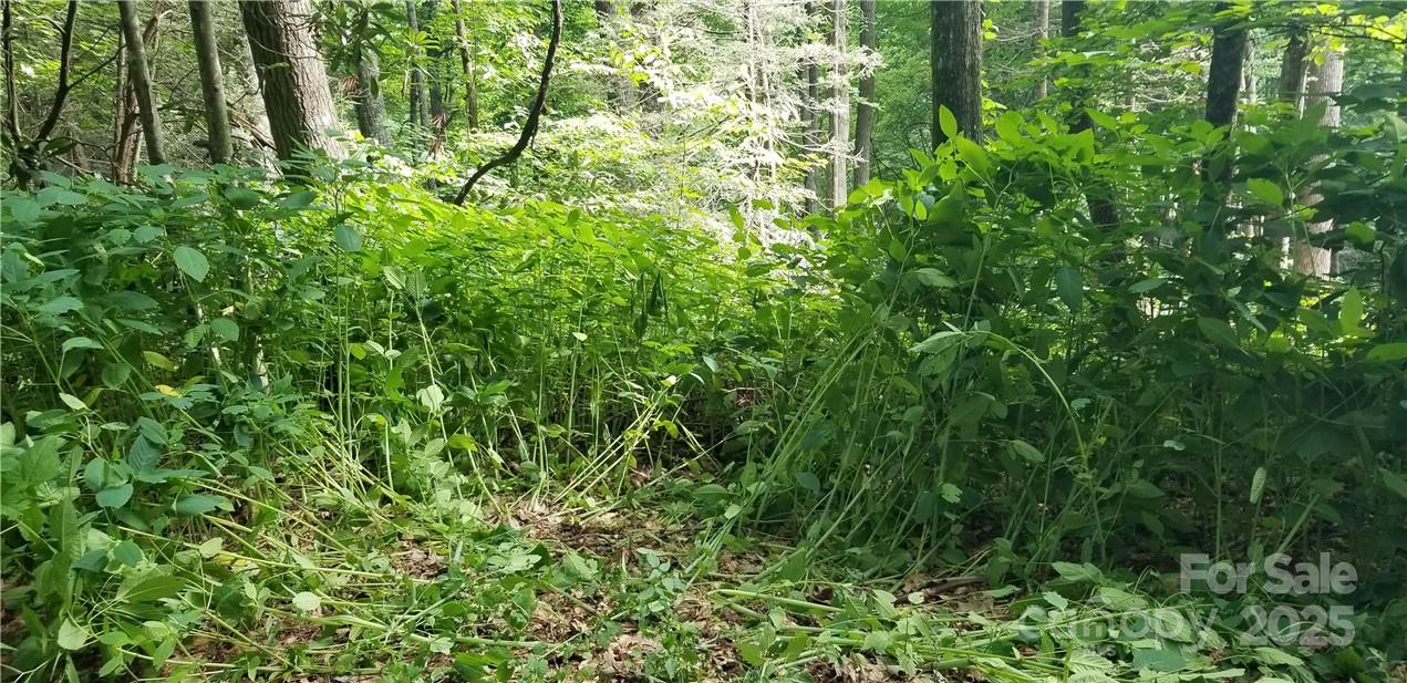 Lot at Lot C31 Shady Lane, Maggie Valley, photo 11 of 23