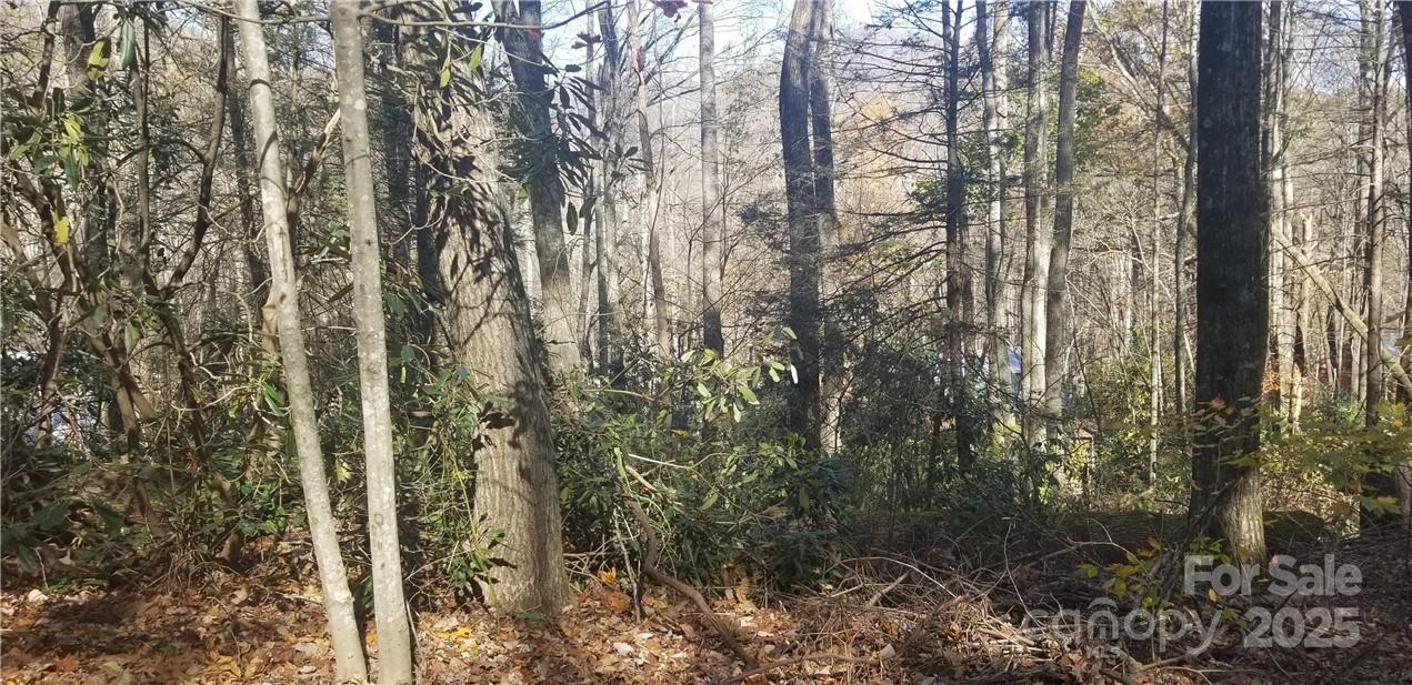 Lot at Lot C31 Shady Lane, Maggie Valley, photo 14 of 23