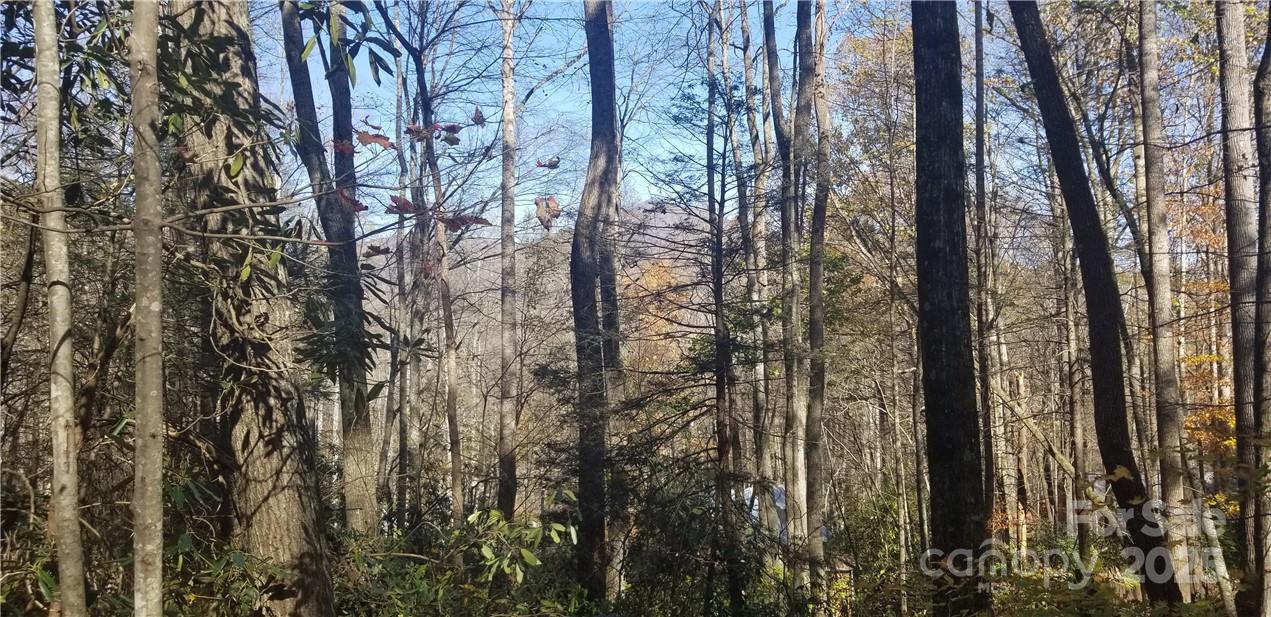 Lot at Lot C31 Shady Lane, Maggie Valley, photo 15 of 23