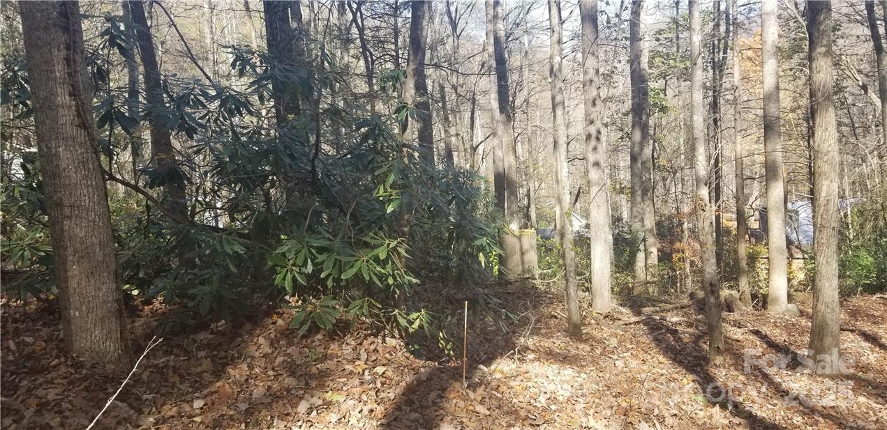 Lot at Lot C31 Shady Lane, Maggie Valley, photo 16 of 23