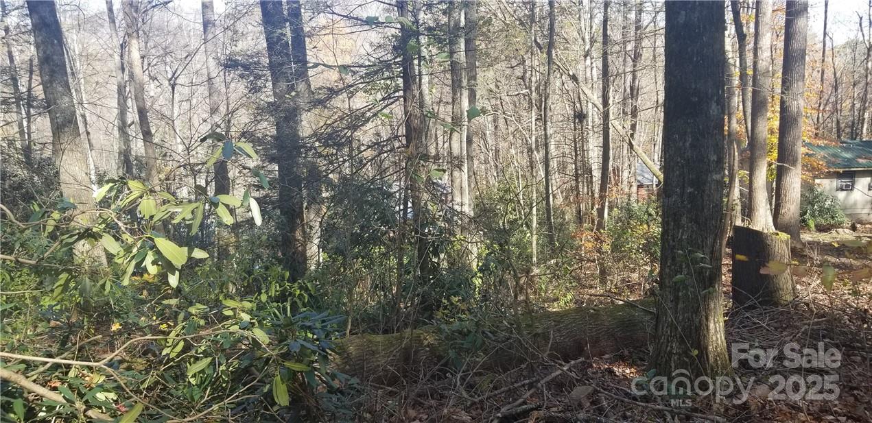 Lot at Lot C31 Shady Lane, Maggie Valley, photo 17 of 23