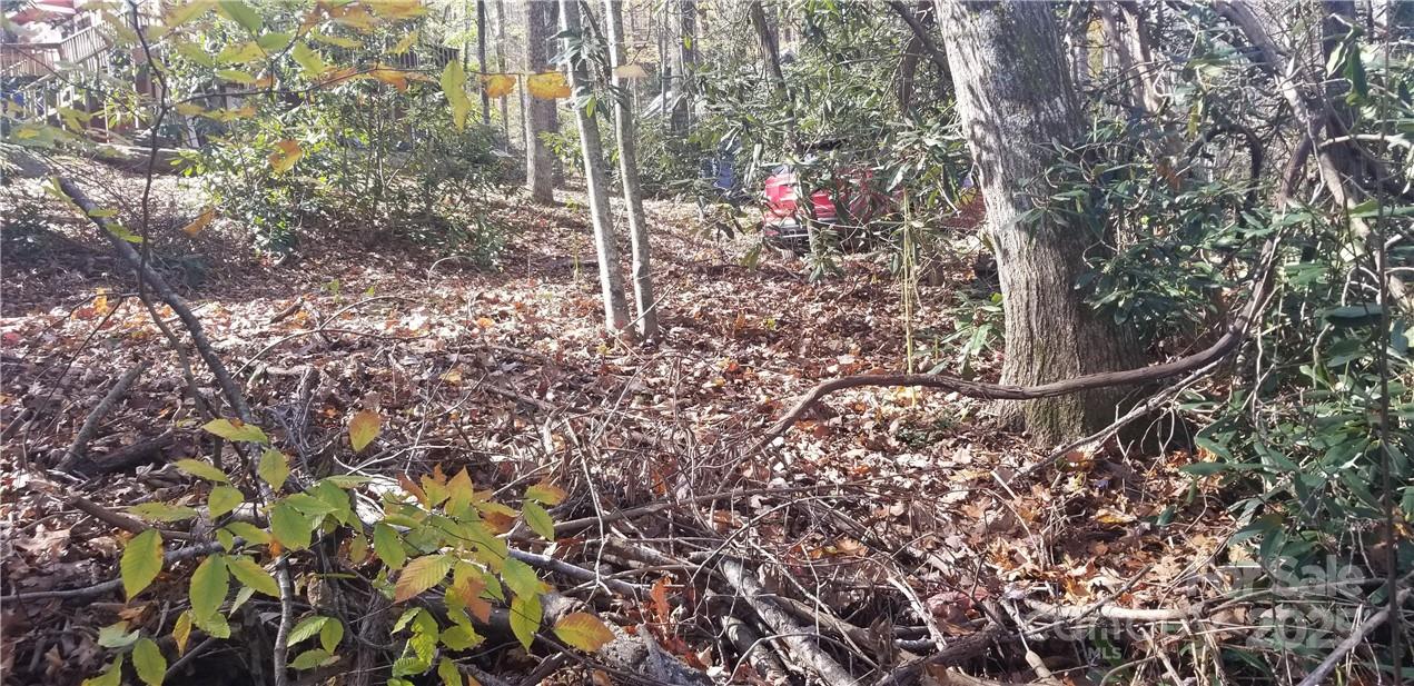 Lot at Lot C31 Shady Lane, Maggie Valley, photo 19 of 23