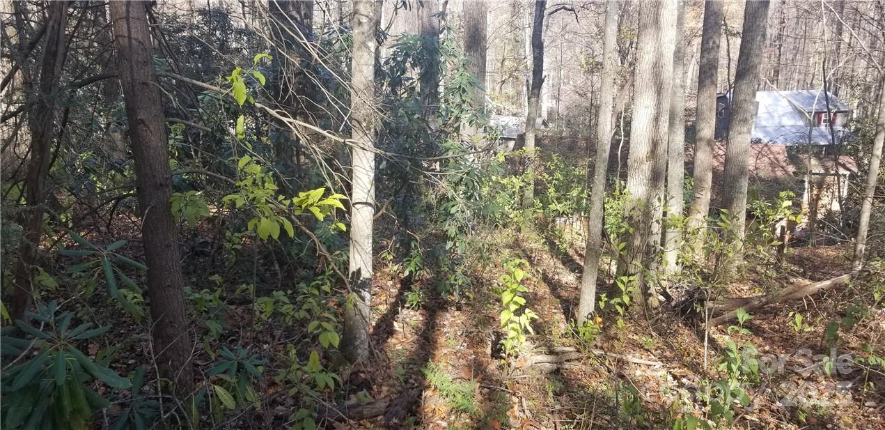 Lot at Lot C31 Shady Lane, Maggie Valley, photo 20 of 23