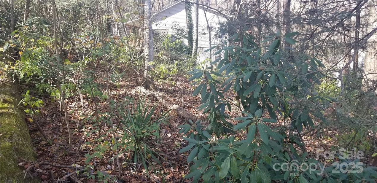 Lot at Lot C31 Shady Lane, Maggie Valley, photo 21 of 23
