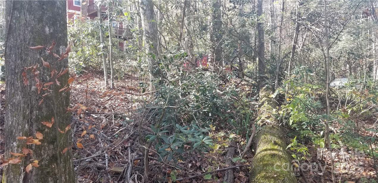 Lot at Lot C31 Shady Lane, Maggie Valley, photo 22 of 23