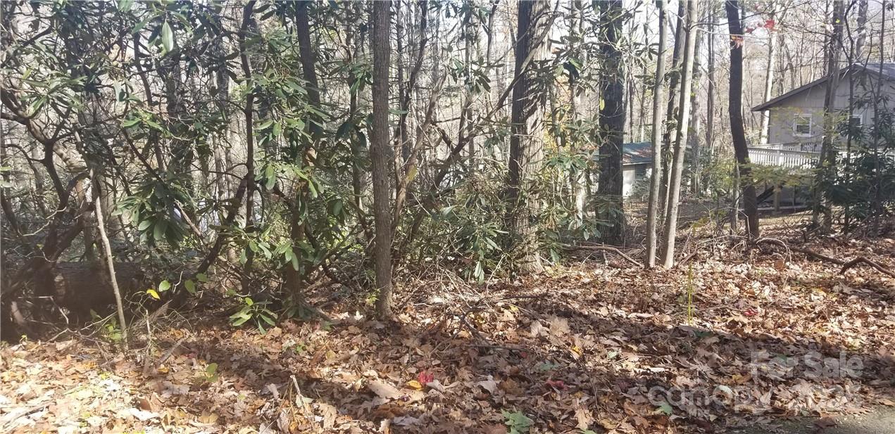 Lot at Lot C31 Shady Lane, Maggie Valley, photo 23 of 23