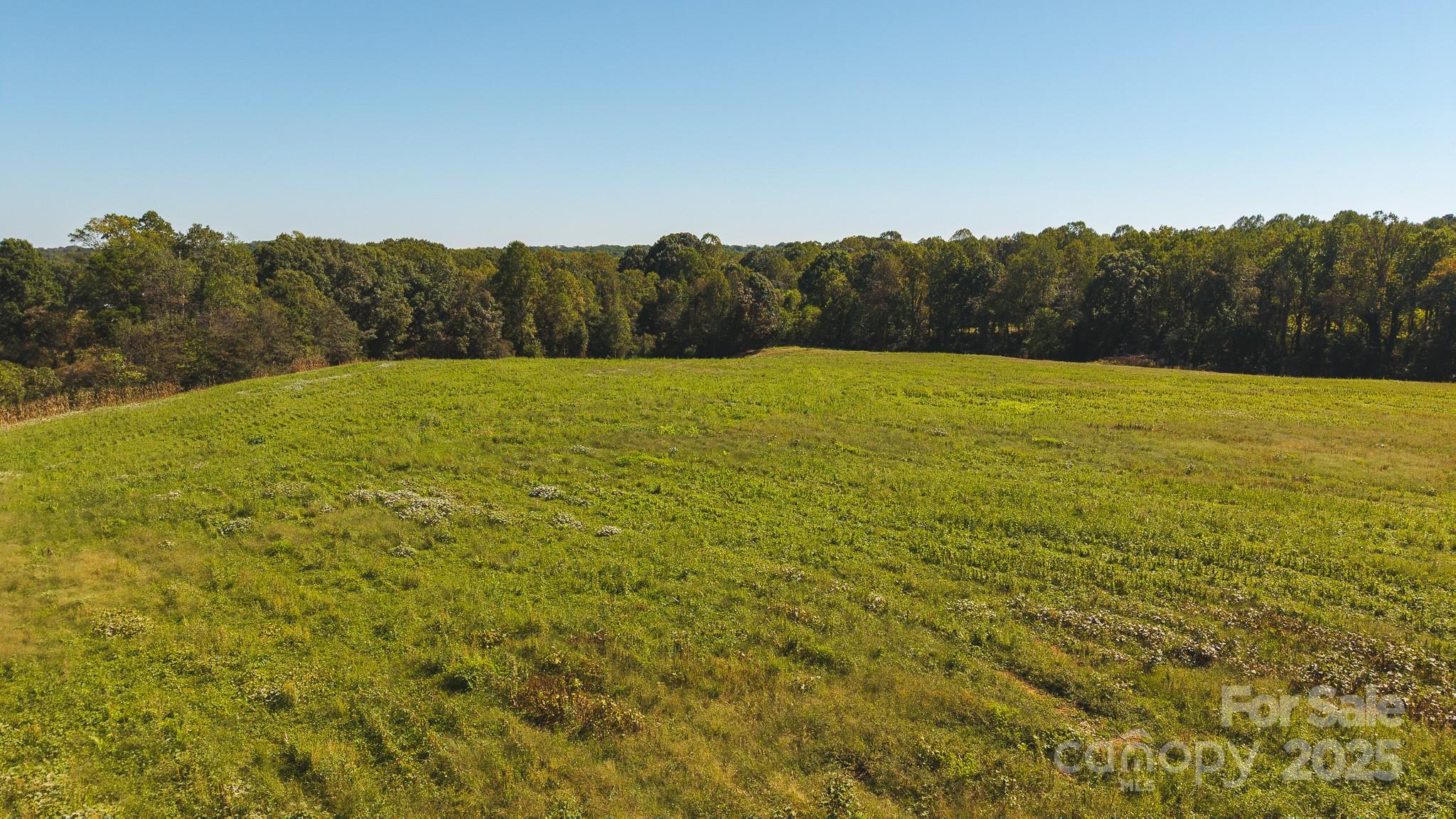 Acreage at TBD US Highway 21 Highway, Hamptonville, photo 2 of 29