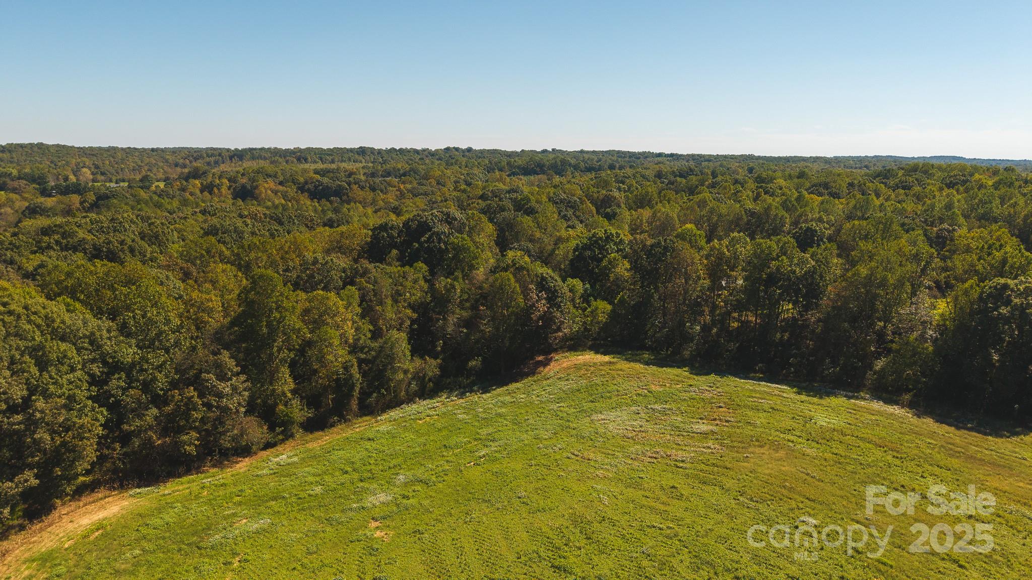 Acreage at TBD US Highway 21 Highway, Hamptonville, photo 3 of 29