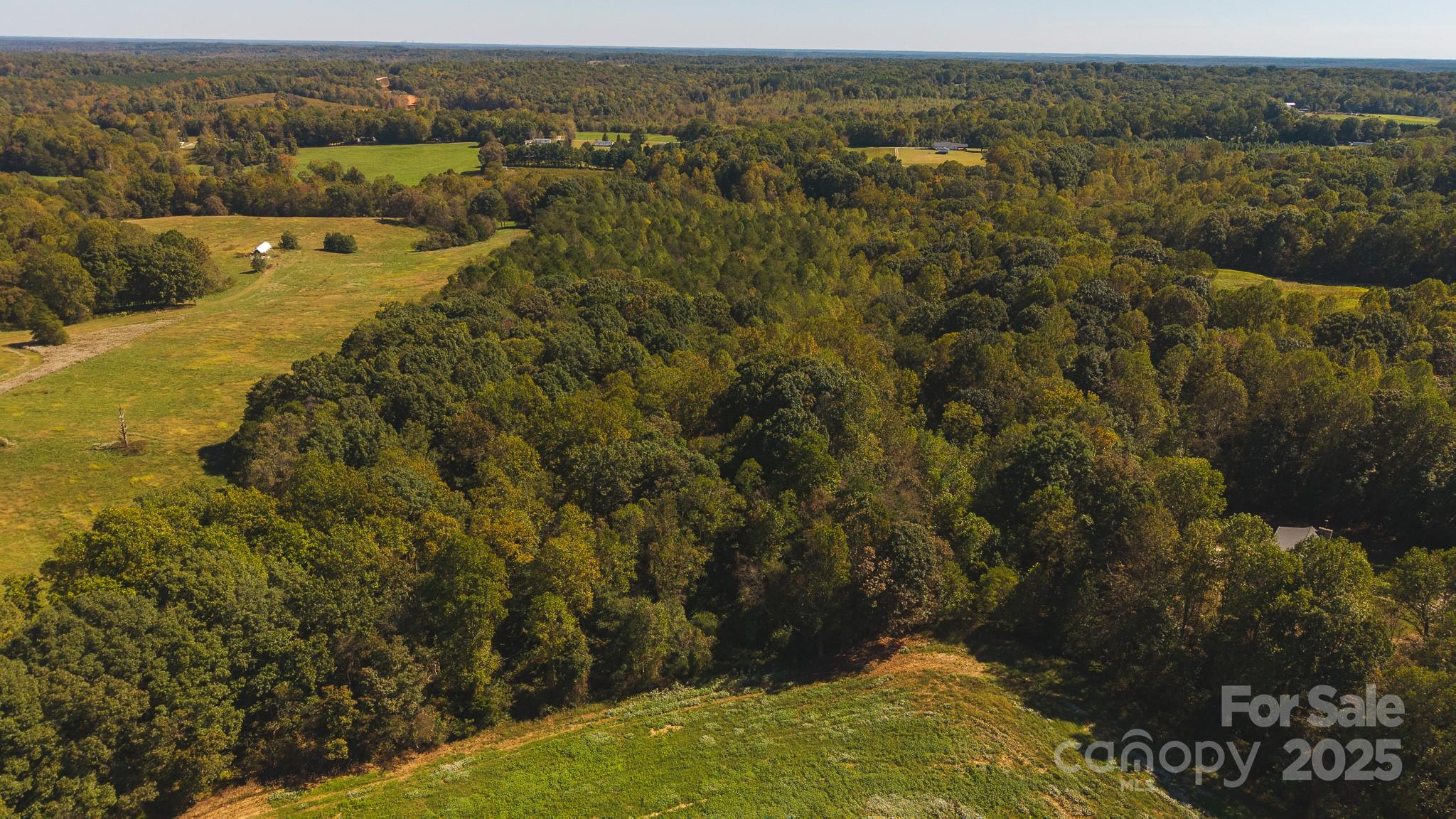 Acreage at TBD US Highway 21 Highway, Hamptonville, photo 4 of 29
