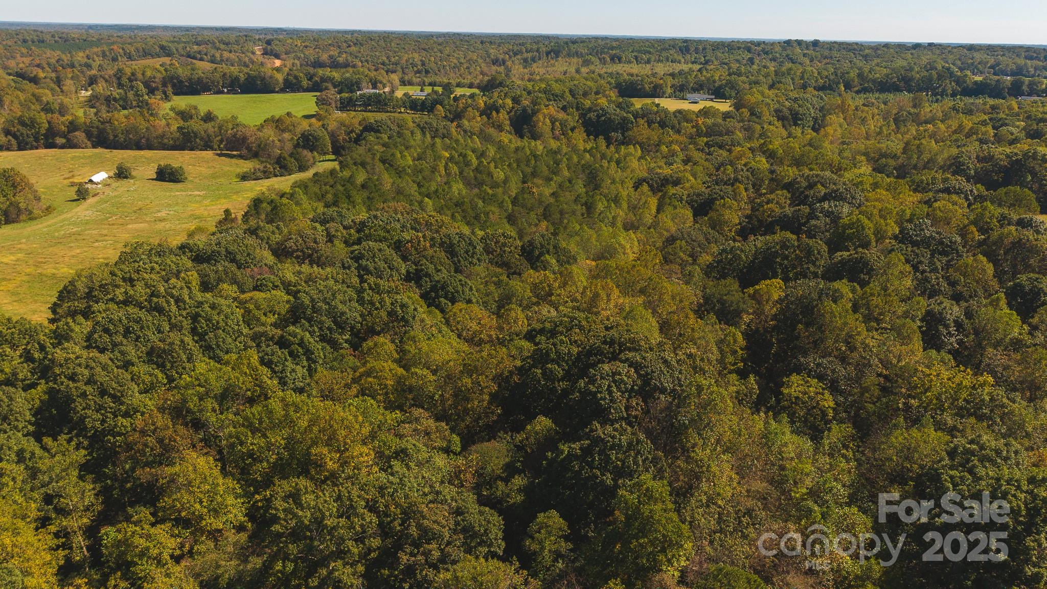 Acreage at TBD US Highway 21 Highway, Hamptonville, photo 5 of 29