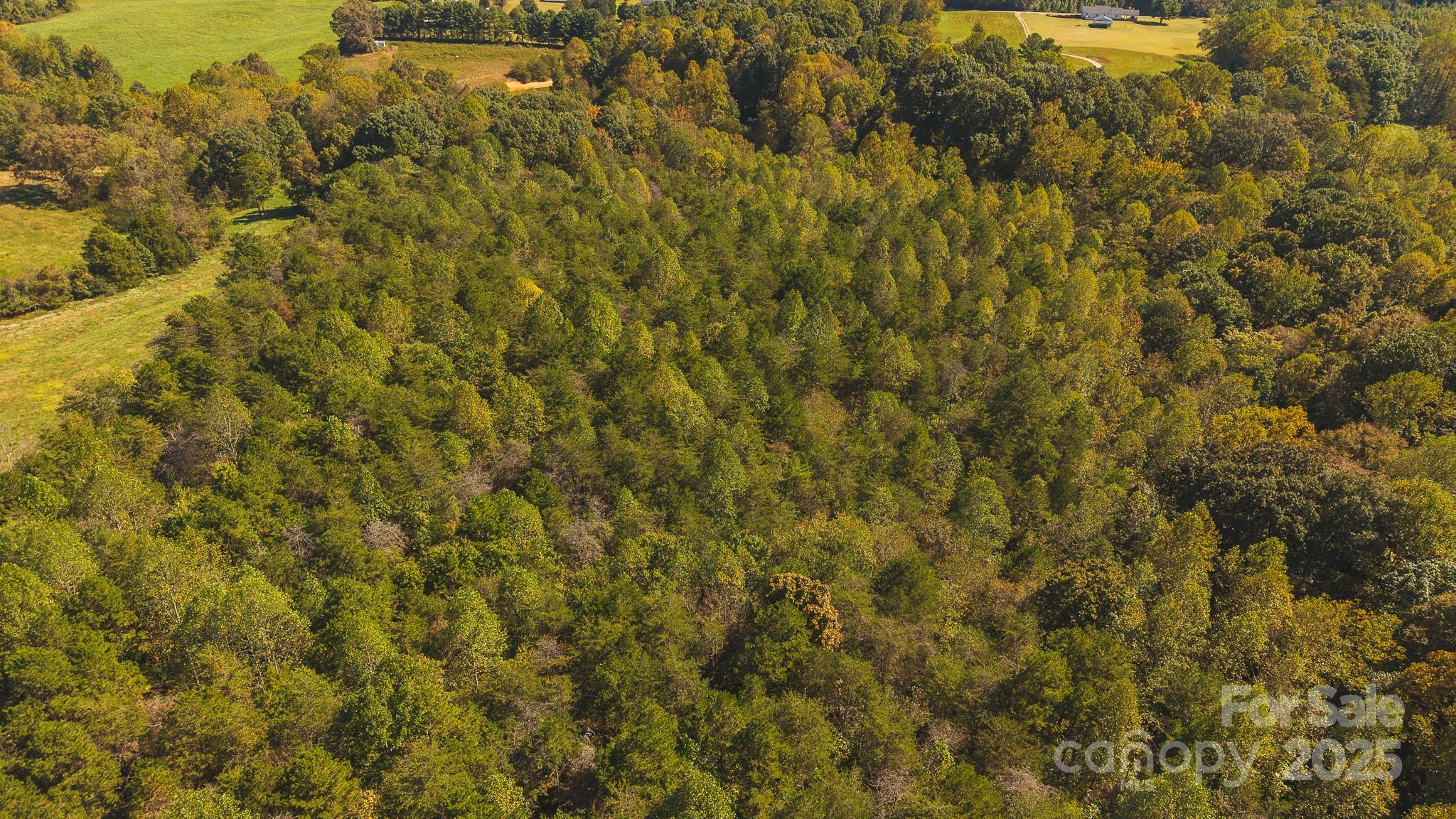 Acreage at TBD US Highway 21 Highway, Hamptonville, photo 6 of 29