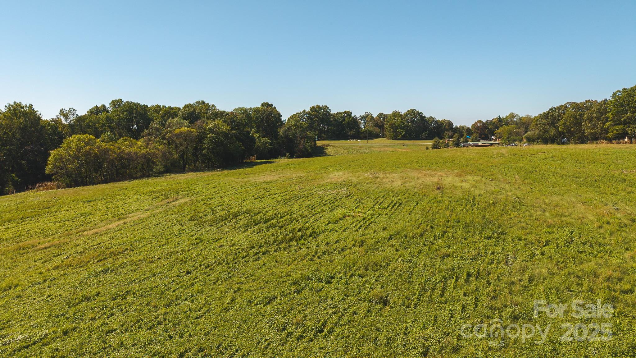 Acreage at TBD US Highway 21 Highway, Hamptonville, photo 10 of 29