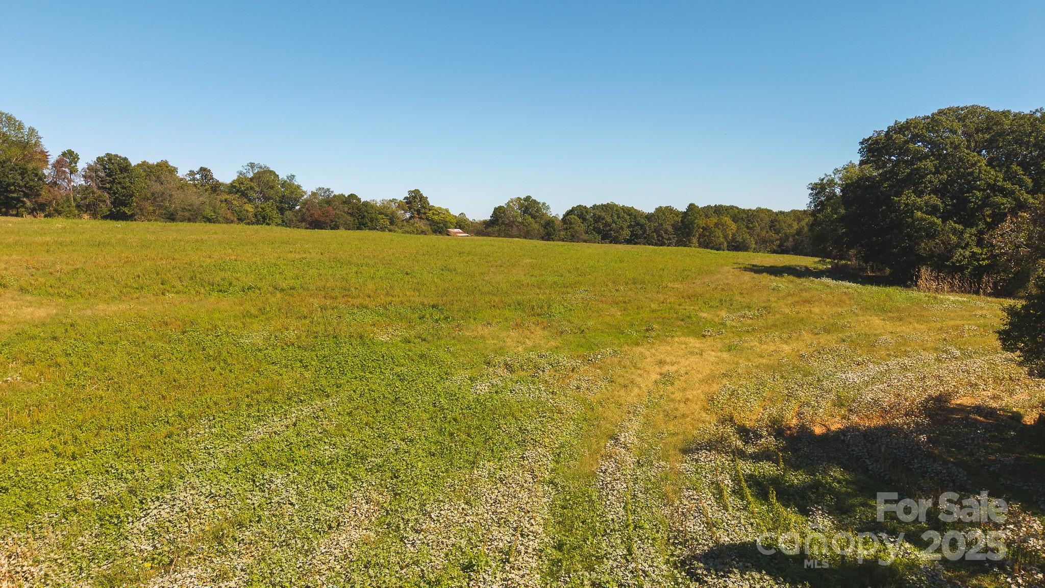 Acreage at TBD US Highway 21 Highway, Hamptonville, photo 17 of 29