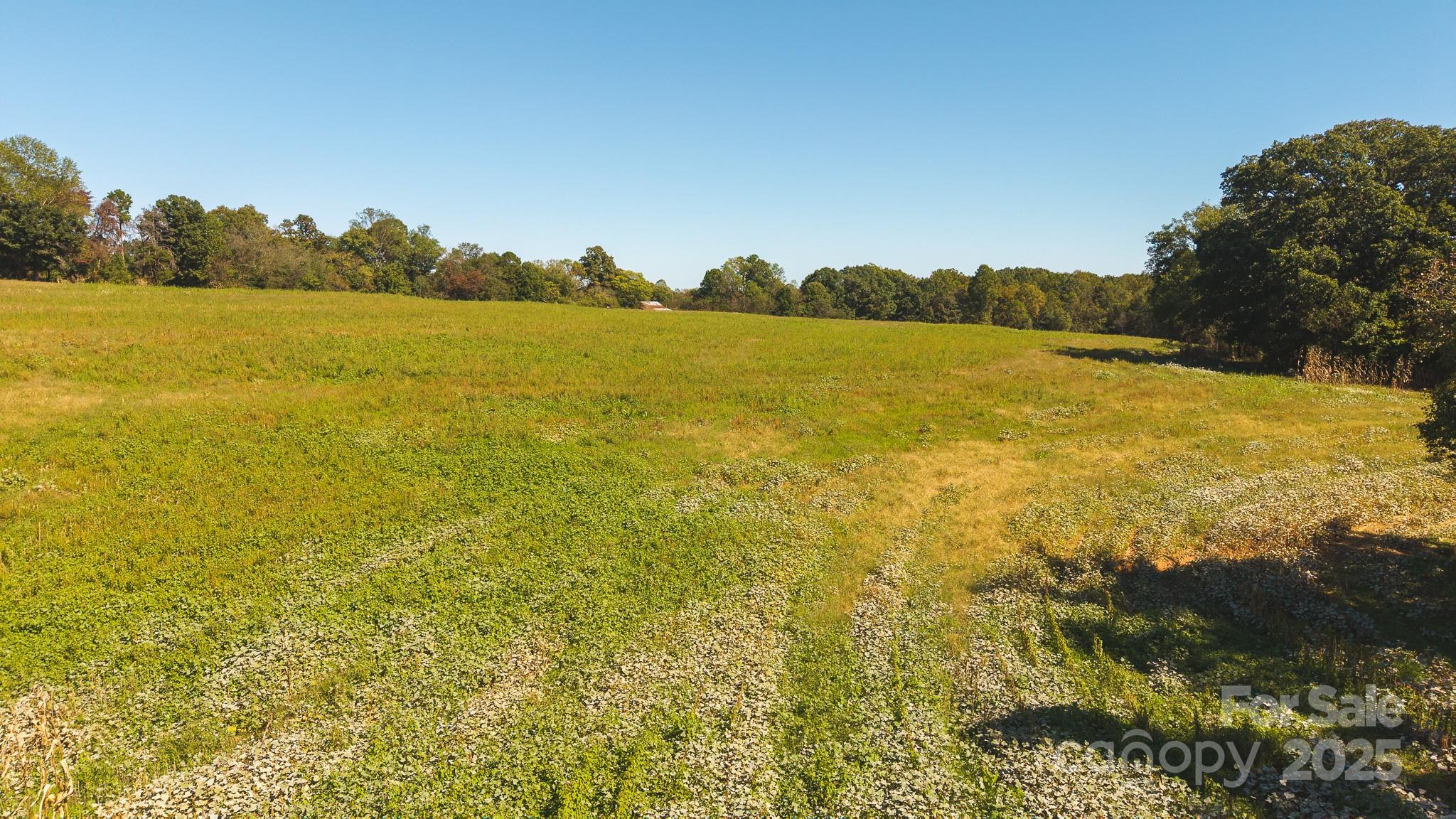 Acreage at TBD US Highway 21 Highway, Hamptonville, photo 18 of 29