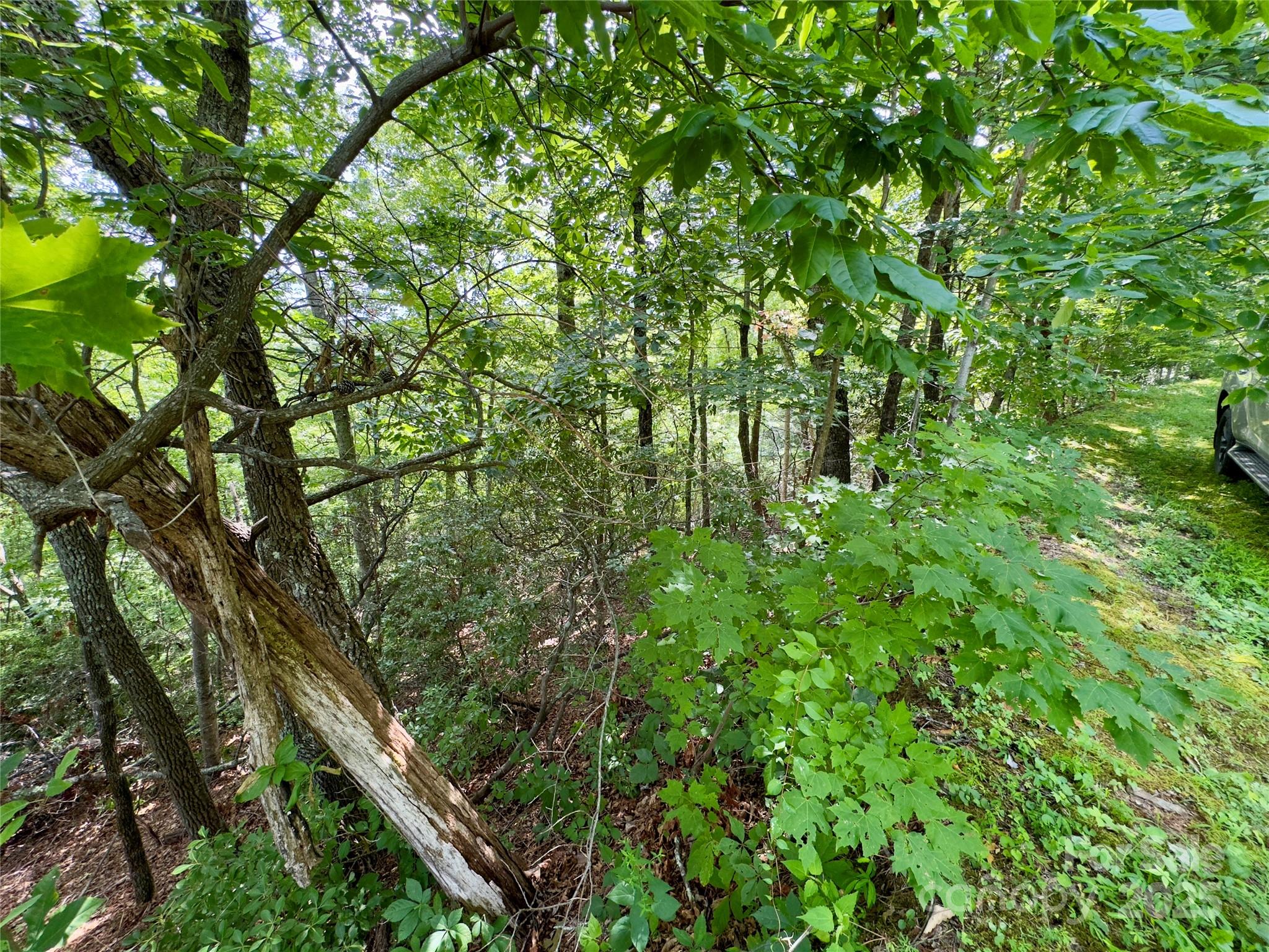 Lot at 94 Galax Drive, Black Mountain, photo 5 of 11