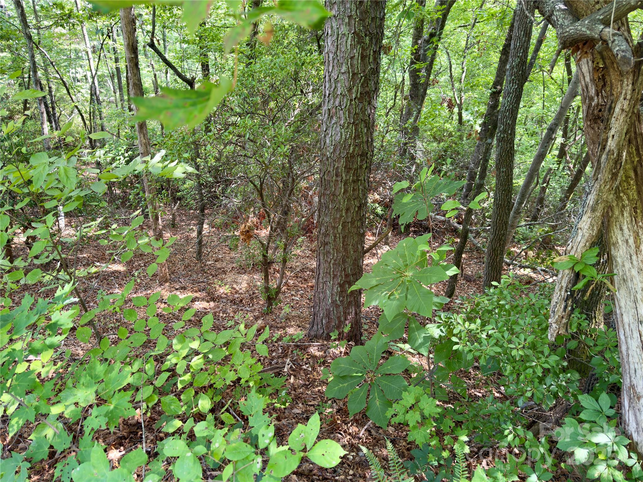 Lot at 94 Galax Drive, Black Mountain, photo 7 of 11