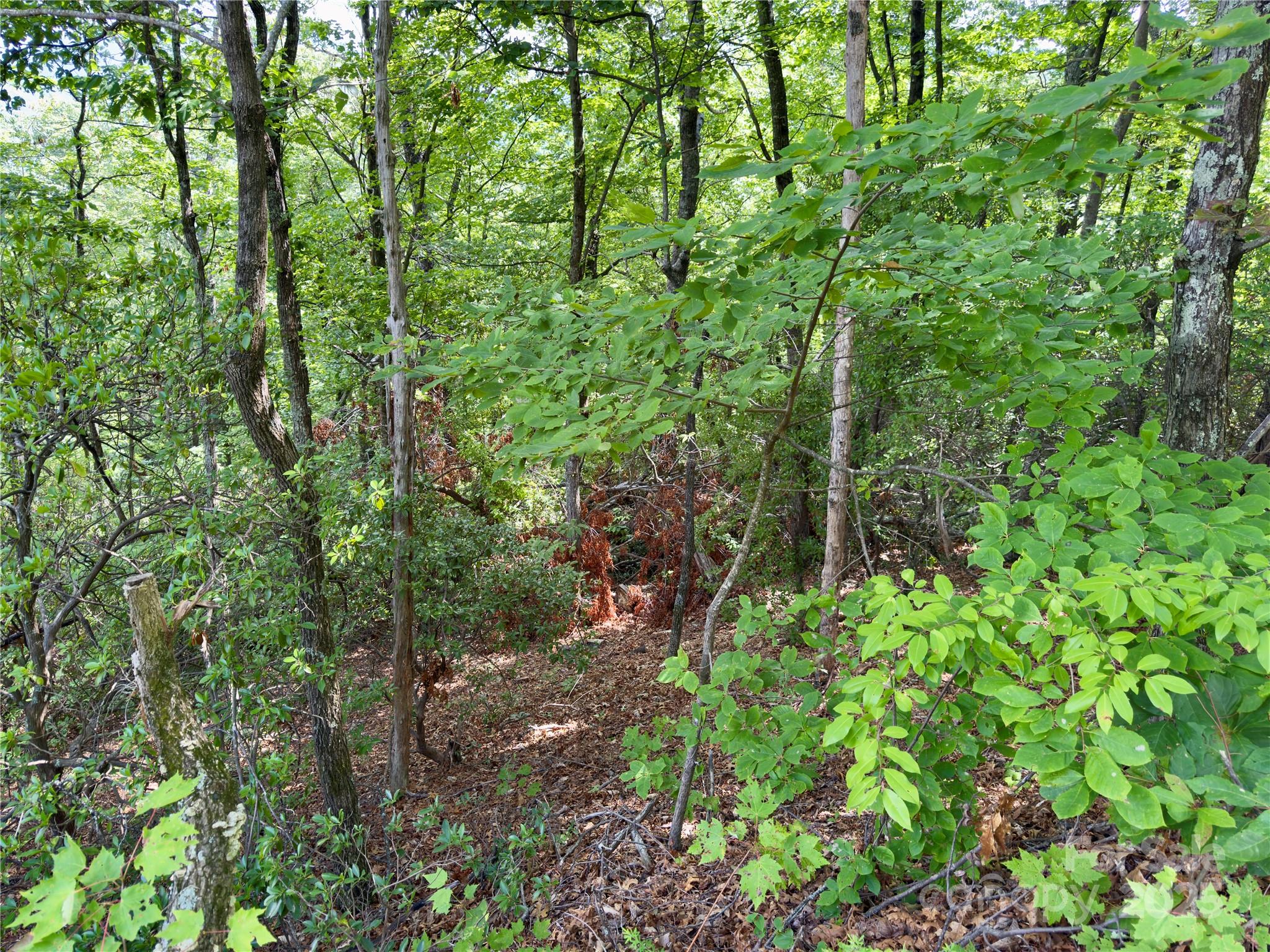 Lot at 94 Galax Drive, Black Mountain, photo 8 of 11
