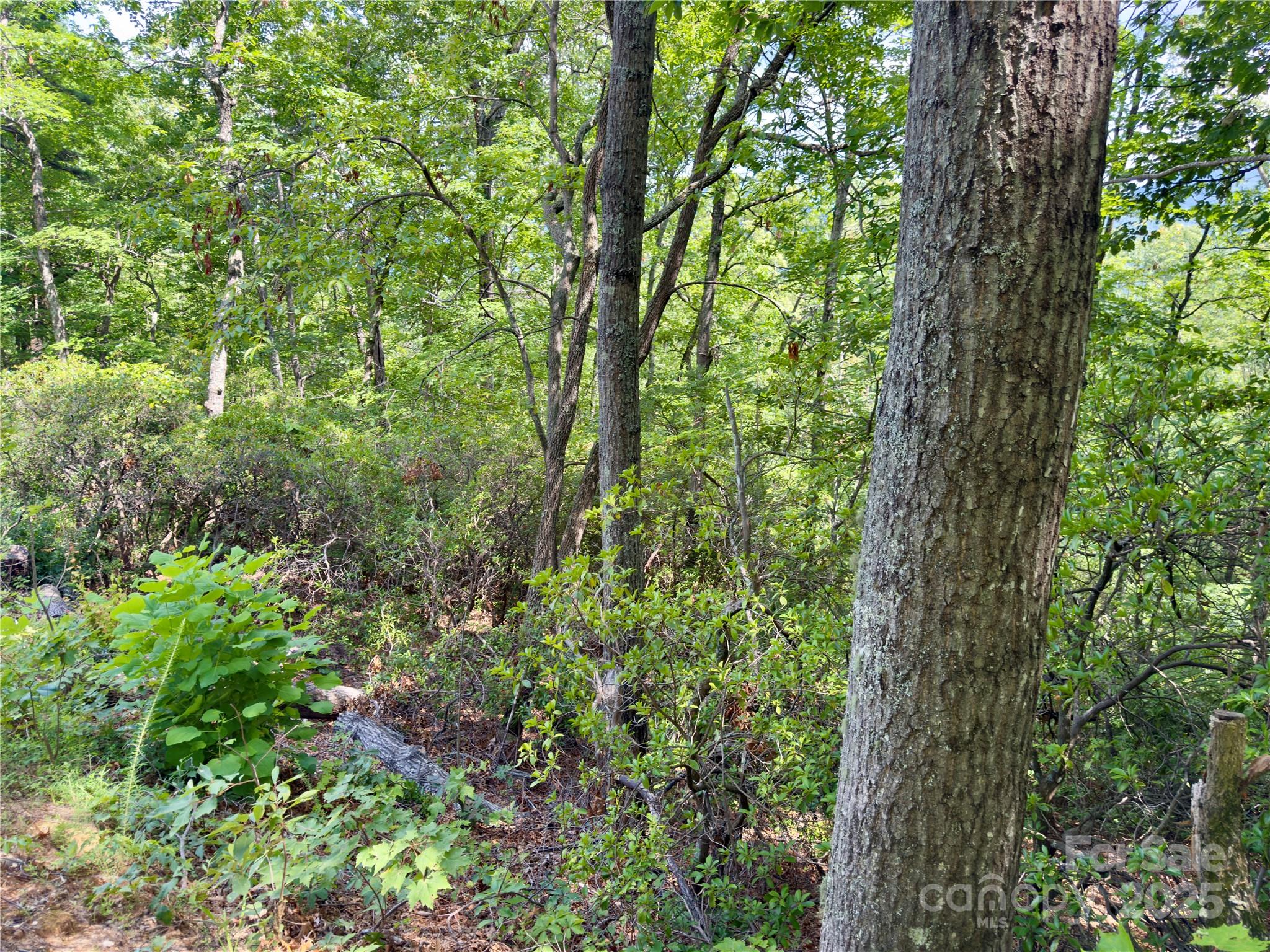 Lot at 94 Galax Drive, Black Mountain, photo 9 of 11