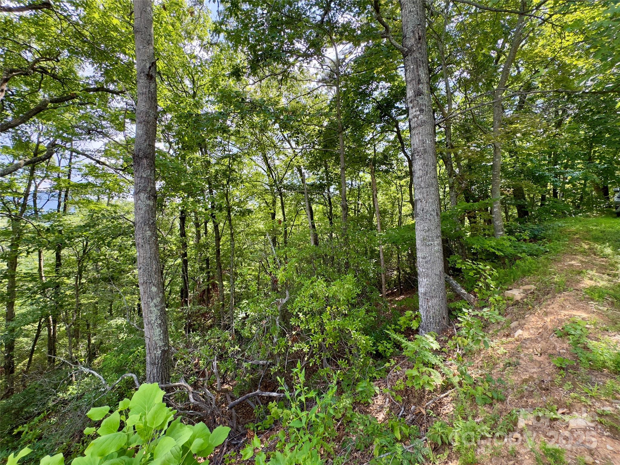 Lot at 94 Galax Drive, Black Mountain, photo 10 of 11