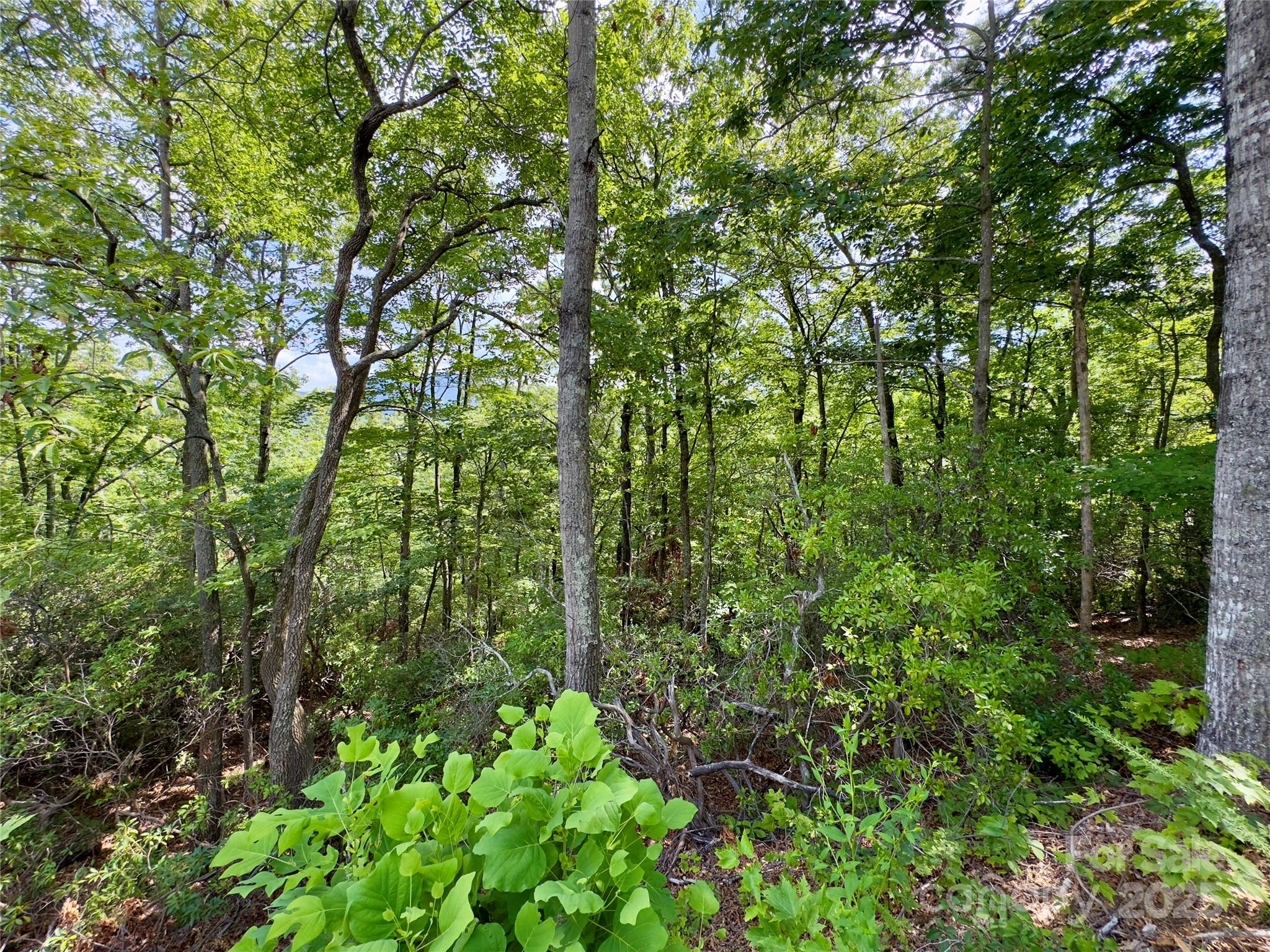 Lot at 94 Galax Drive, Black Mountain, photo 11 of 11