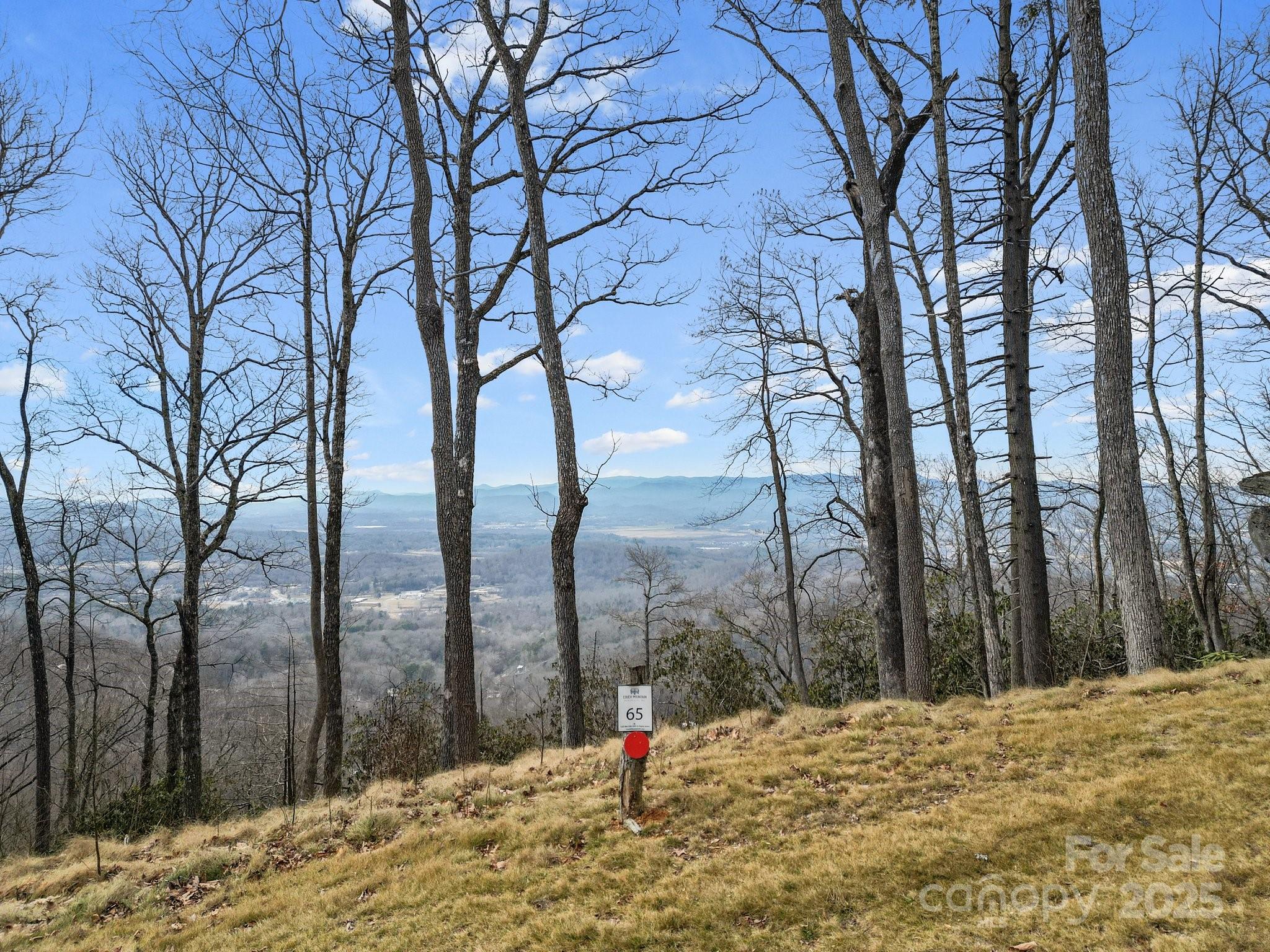 Lot 65 - Lot 65 Featherstone Drive, Fletcher