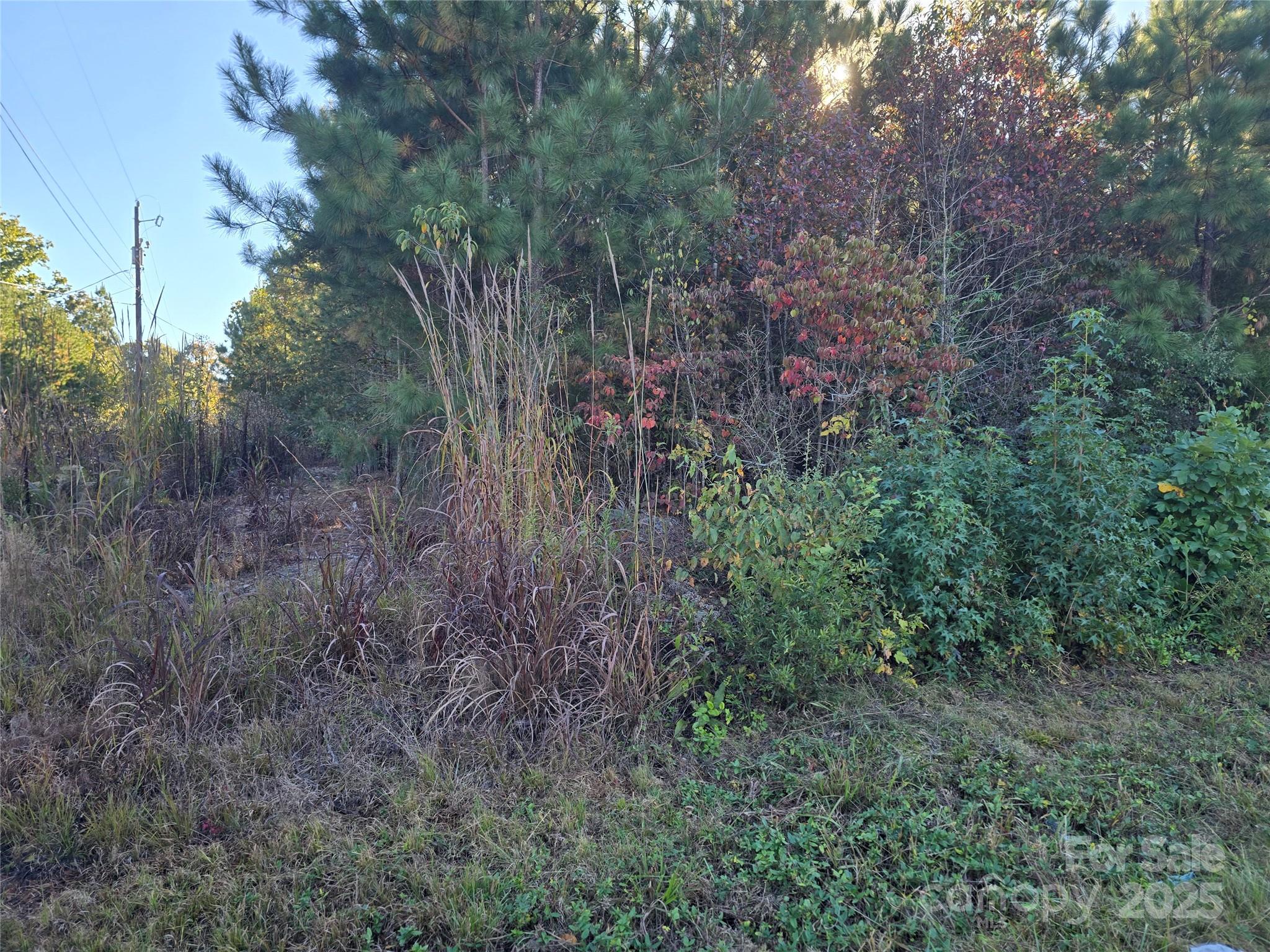 Acreage at 0 Moss Lane, New London, photo 5 of 5