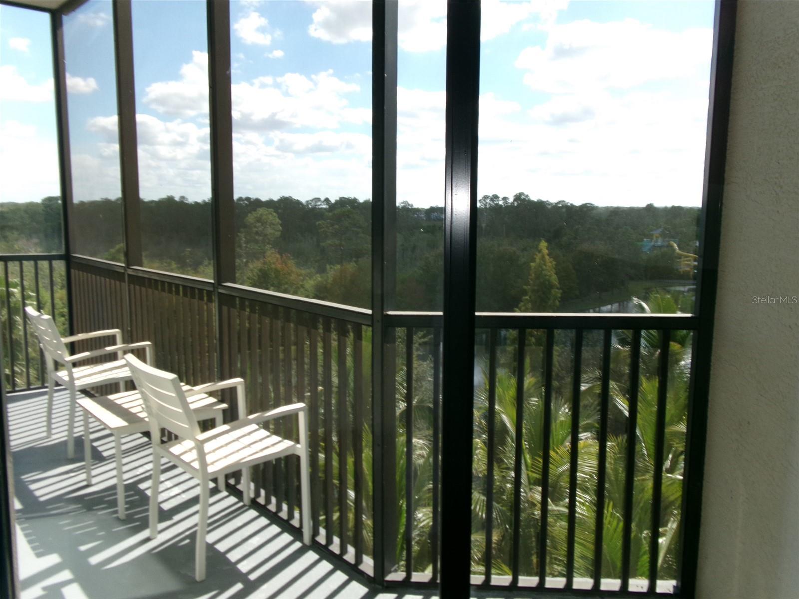 Extra long balcony allows view of Conservation to the east. Beautiful and Relaxing! - 14501 GROVE RESORT AVE #1612, WINTER GARDEN