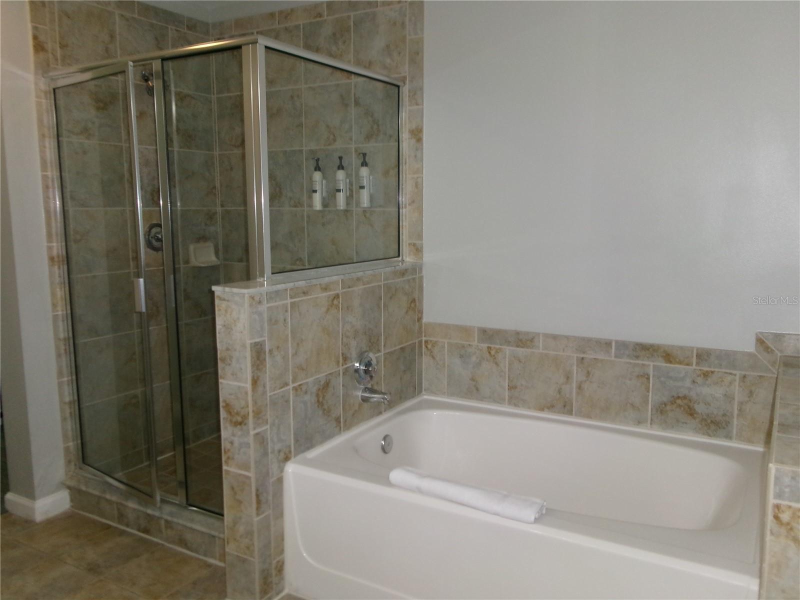 Gorgeous garden bath. Separate shower and soaking tub - 14501 GROVE RESORT AVE #1612, WINTER GARDEN