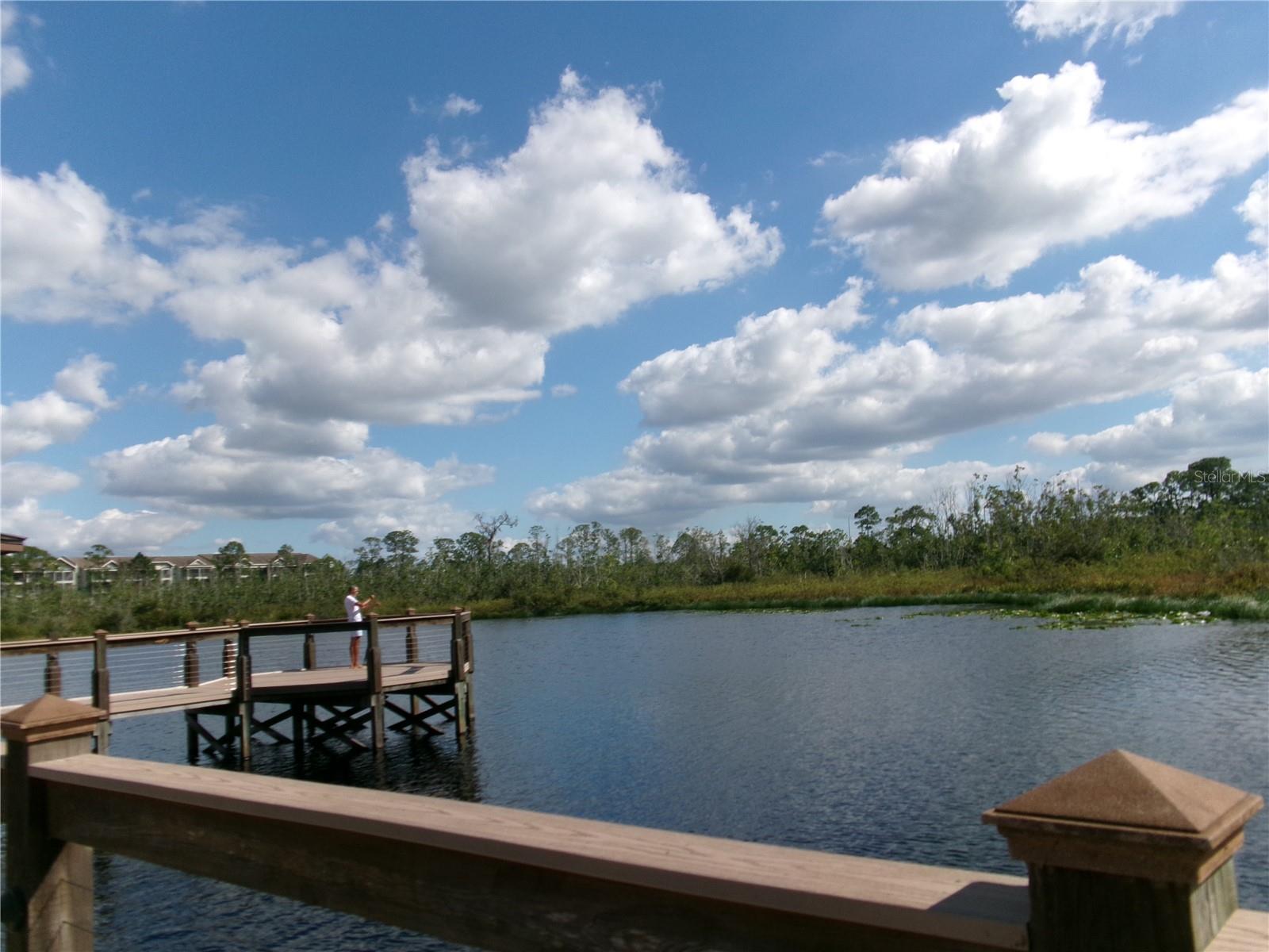 Try your hand at fishing - 14501 GROVE RESORT AVE #1612, WINTER GARDEN