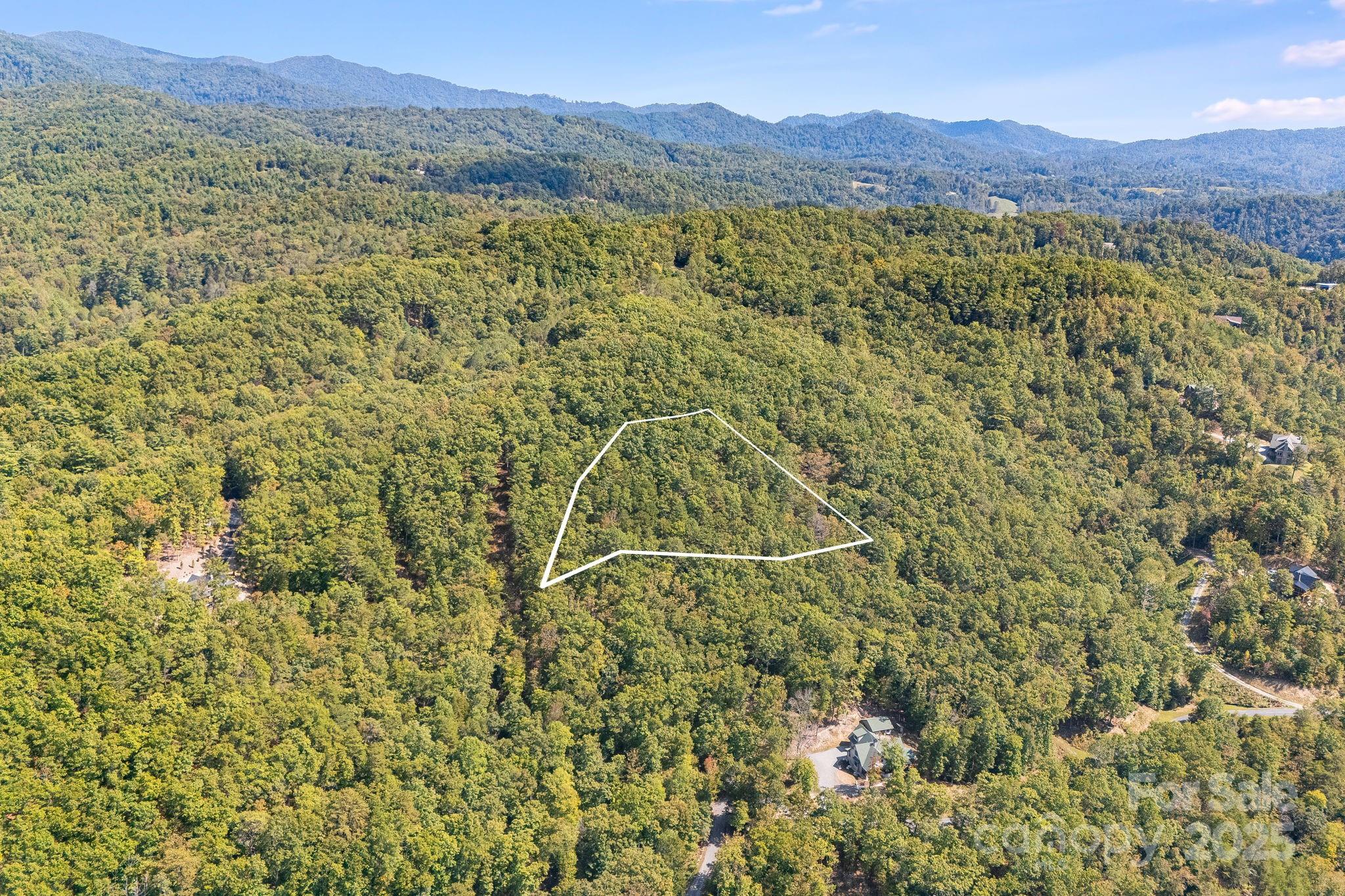 Lot at 111 Wild Turkey Loop, Marshall, photo 2 of 19