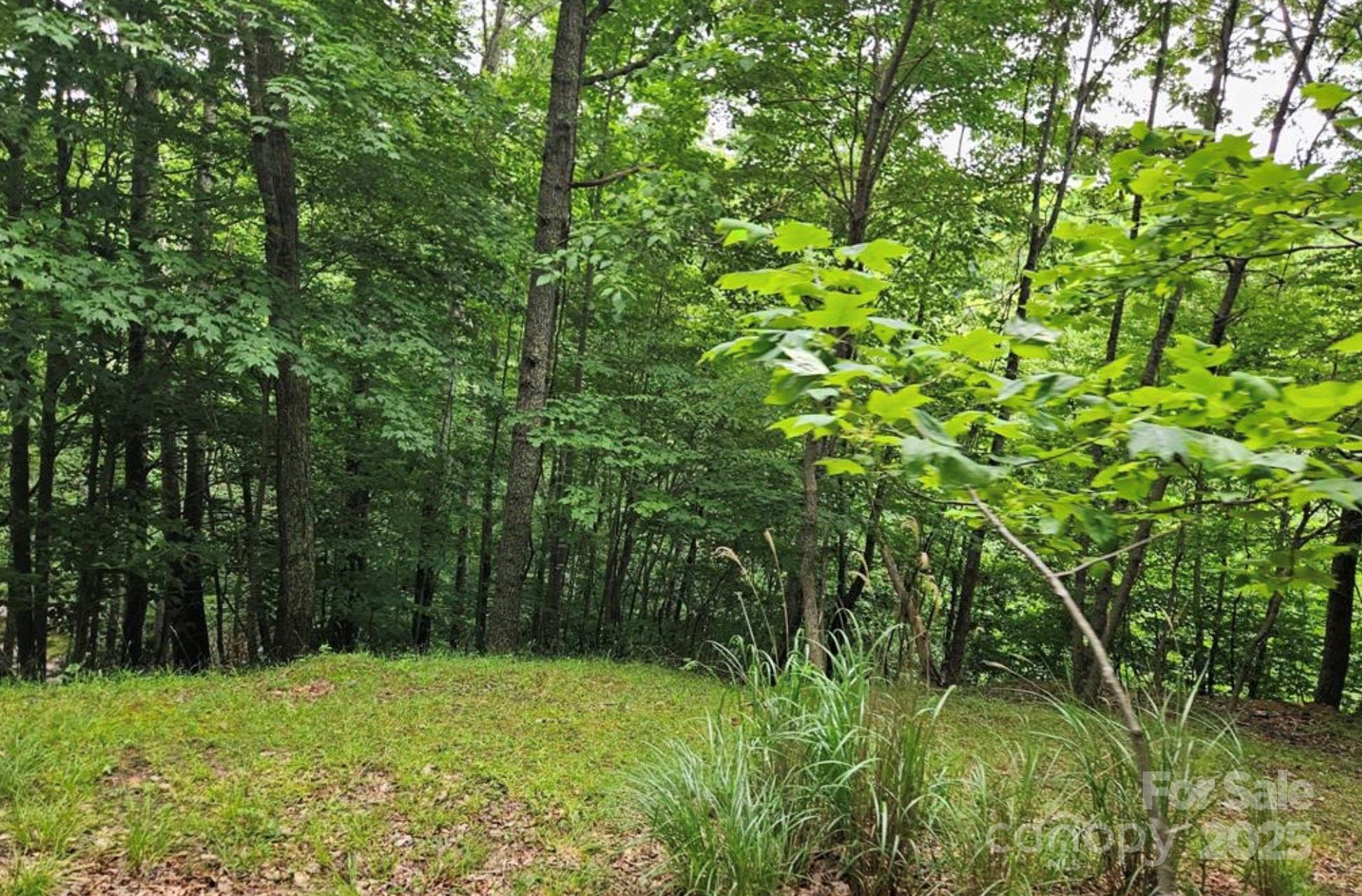 Lot at Lot 3 Mountain View Road, Burnsville, photo 6 of 17